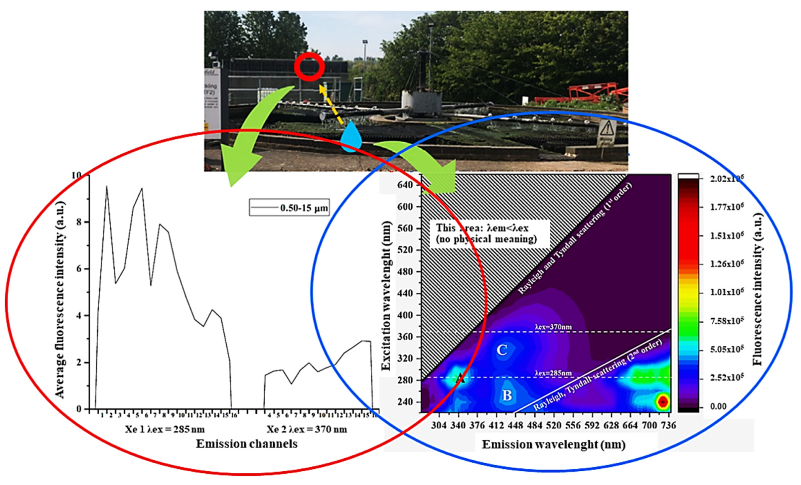 Photochem 01 00007 g016