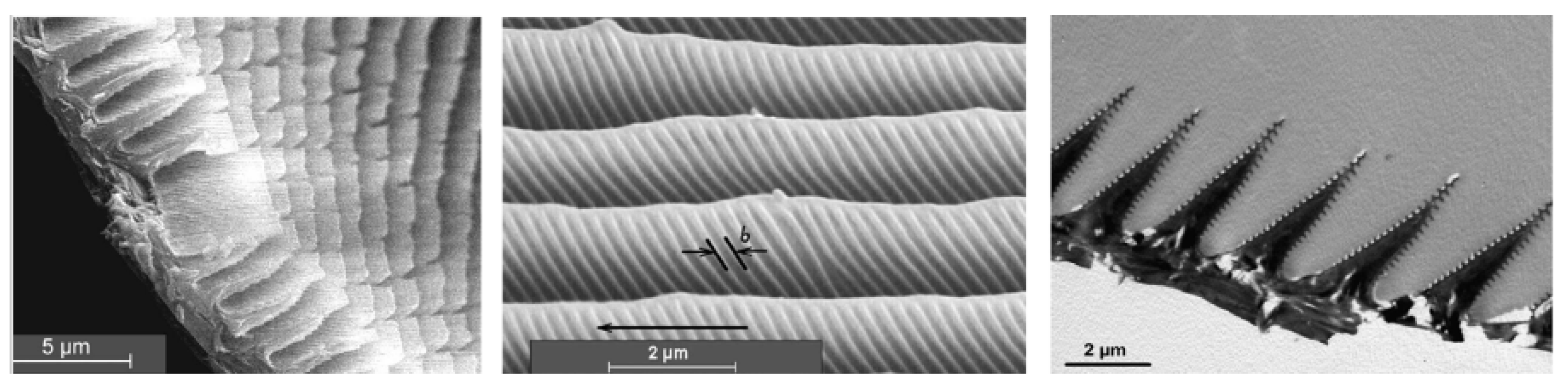 Photochem 01 00007 g019