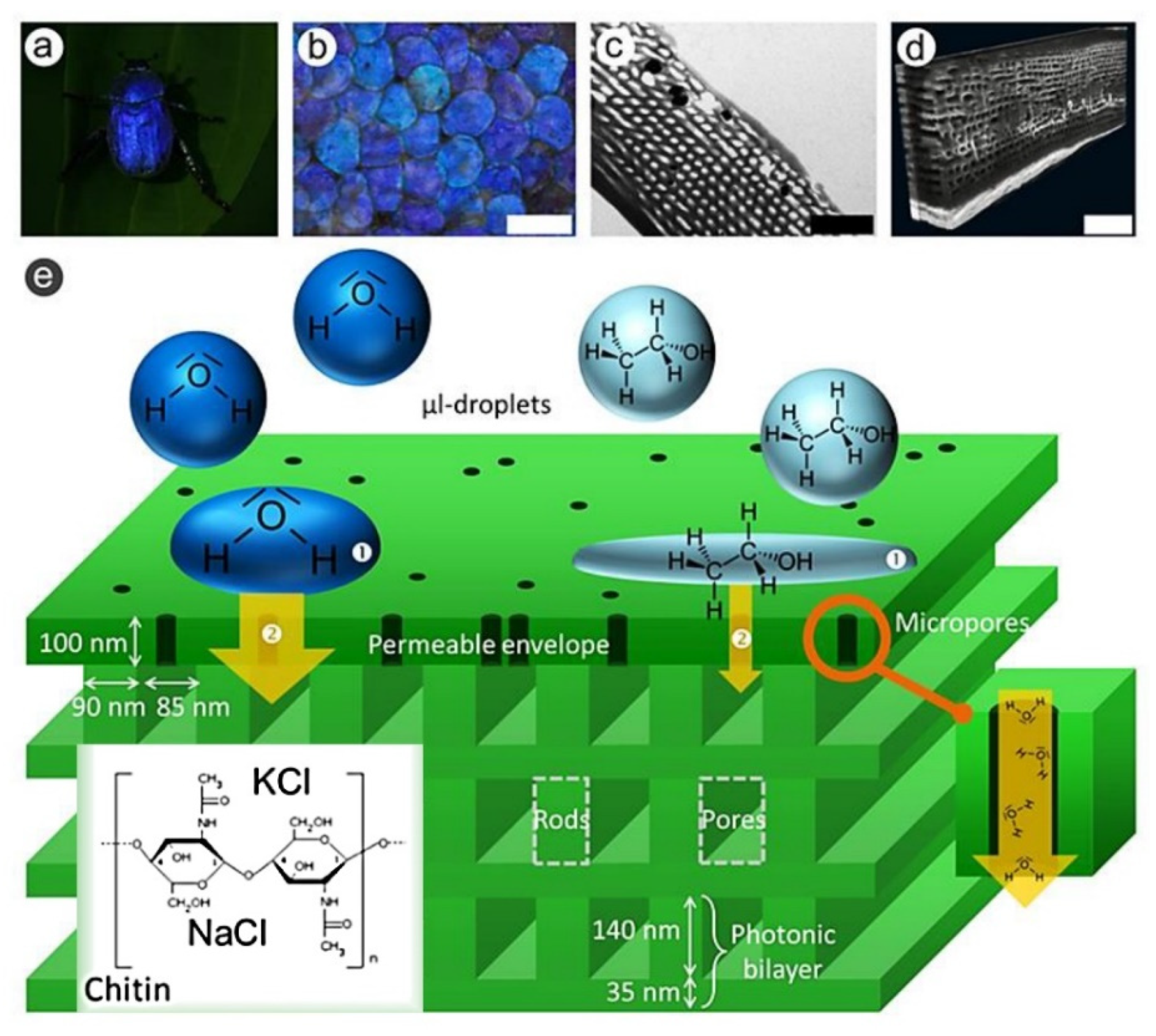 Photochem 01 00007 g022