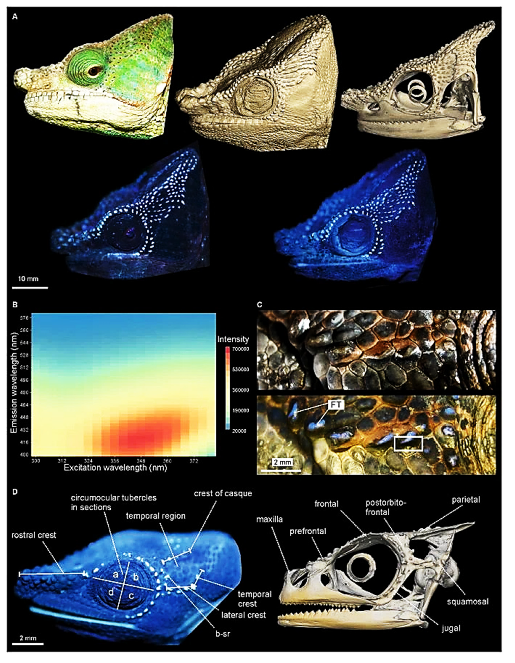 Photochem 01 00007 g026