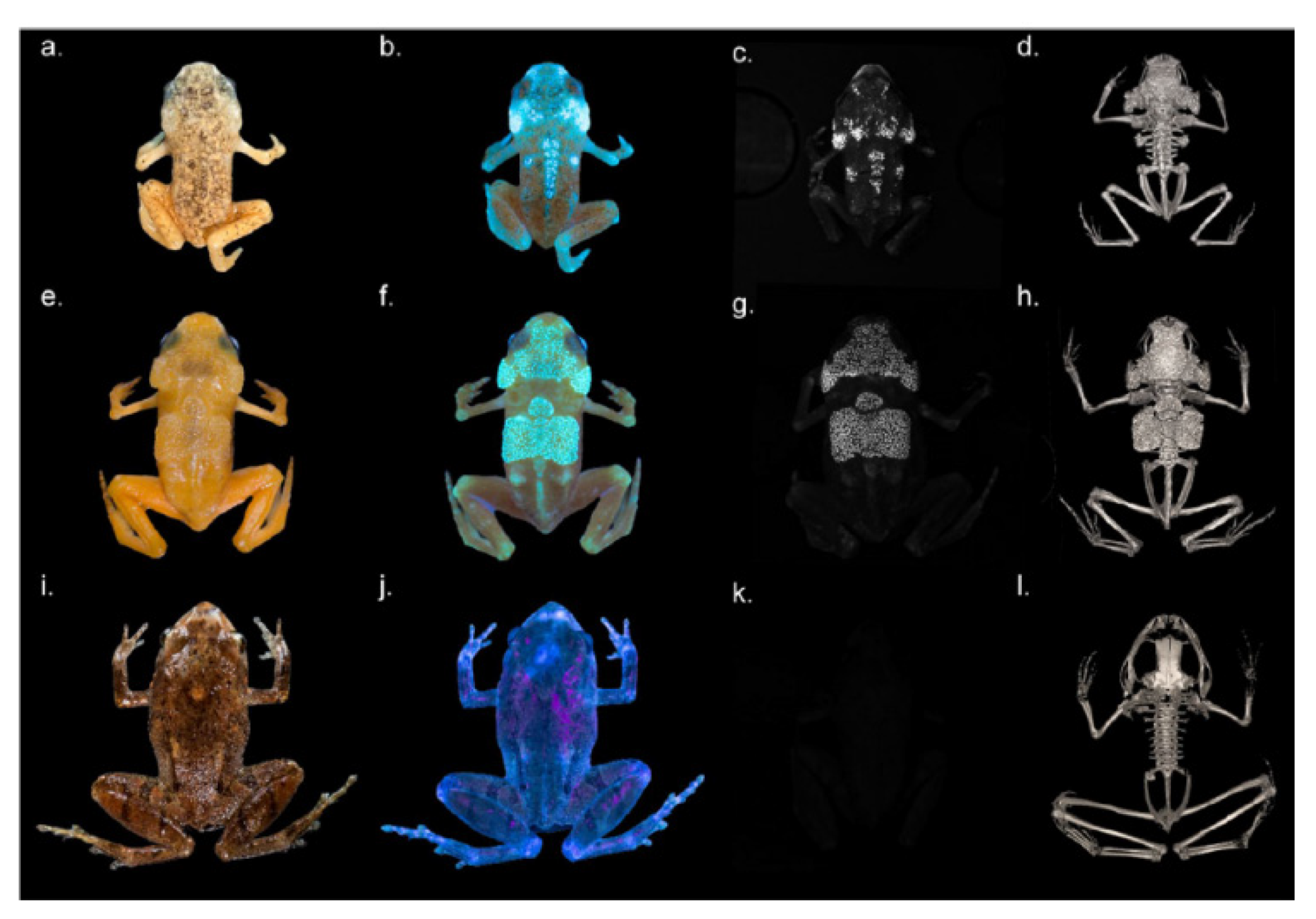 Photochem 01 00007 g027