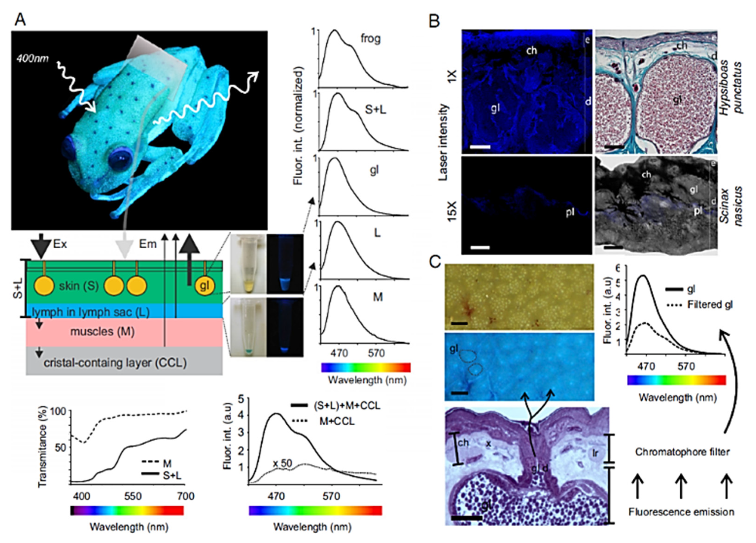 Photochem 01 00007 g028