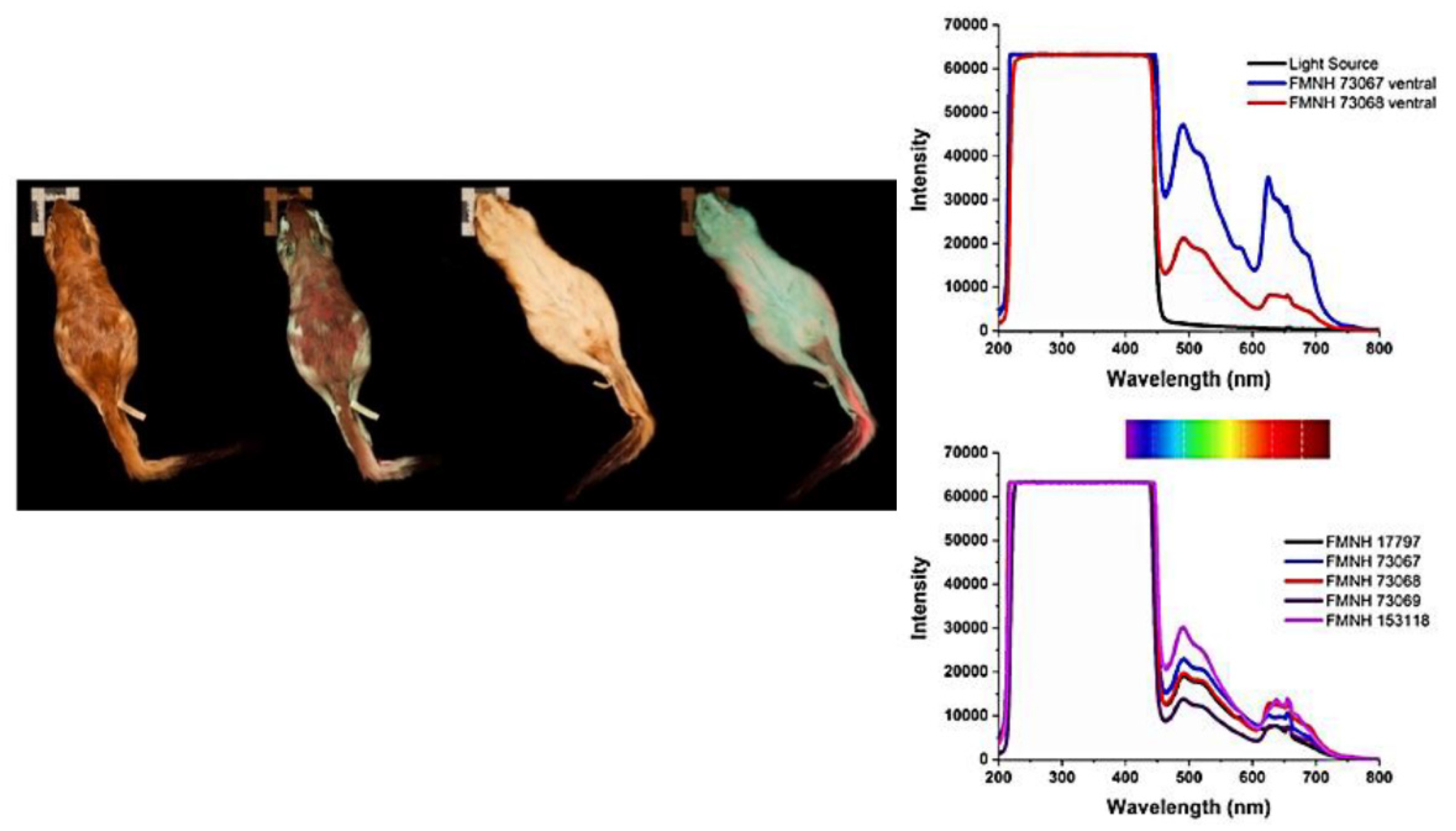 Photochem 01 00007 g031