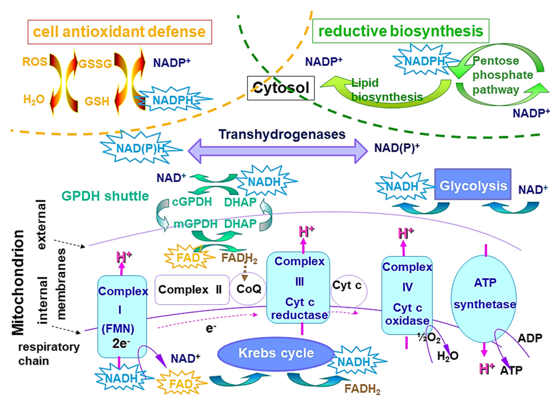 Photochem 01 00007 g034