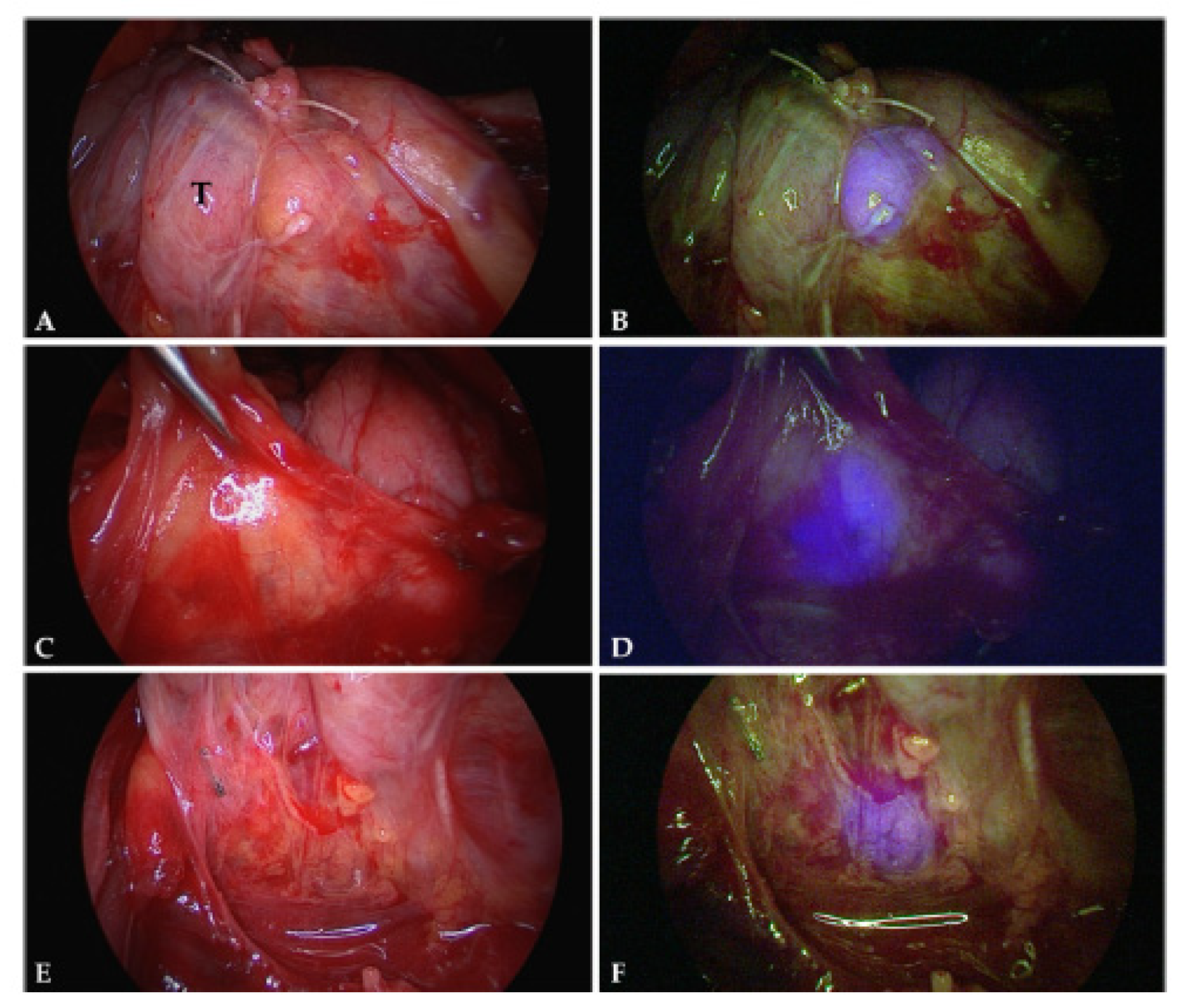 Photochem 01 00007 g036