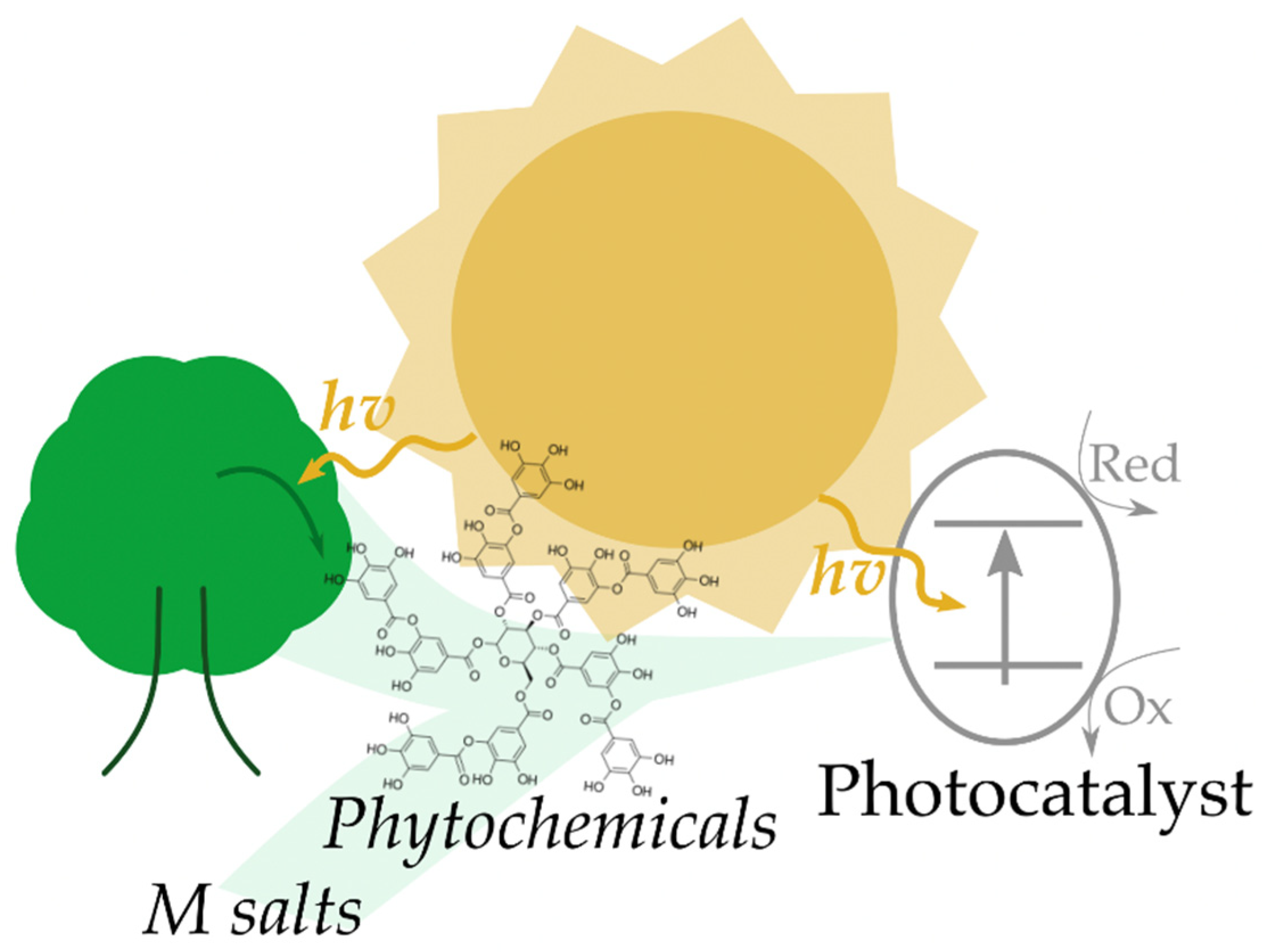 Photochem 01 00009 g001