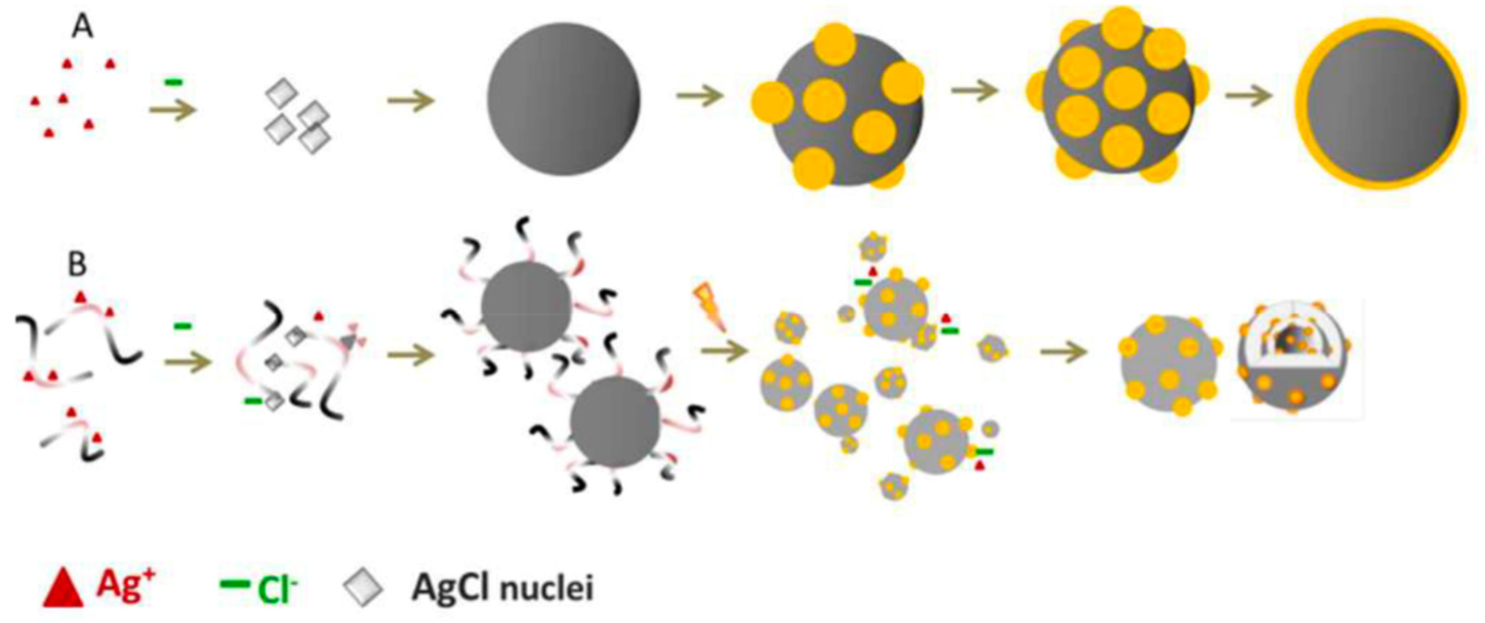 Photochem 01 00009 g003