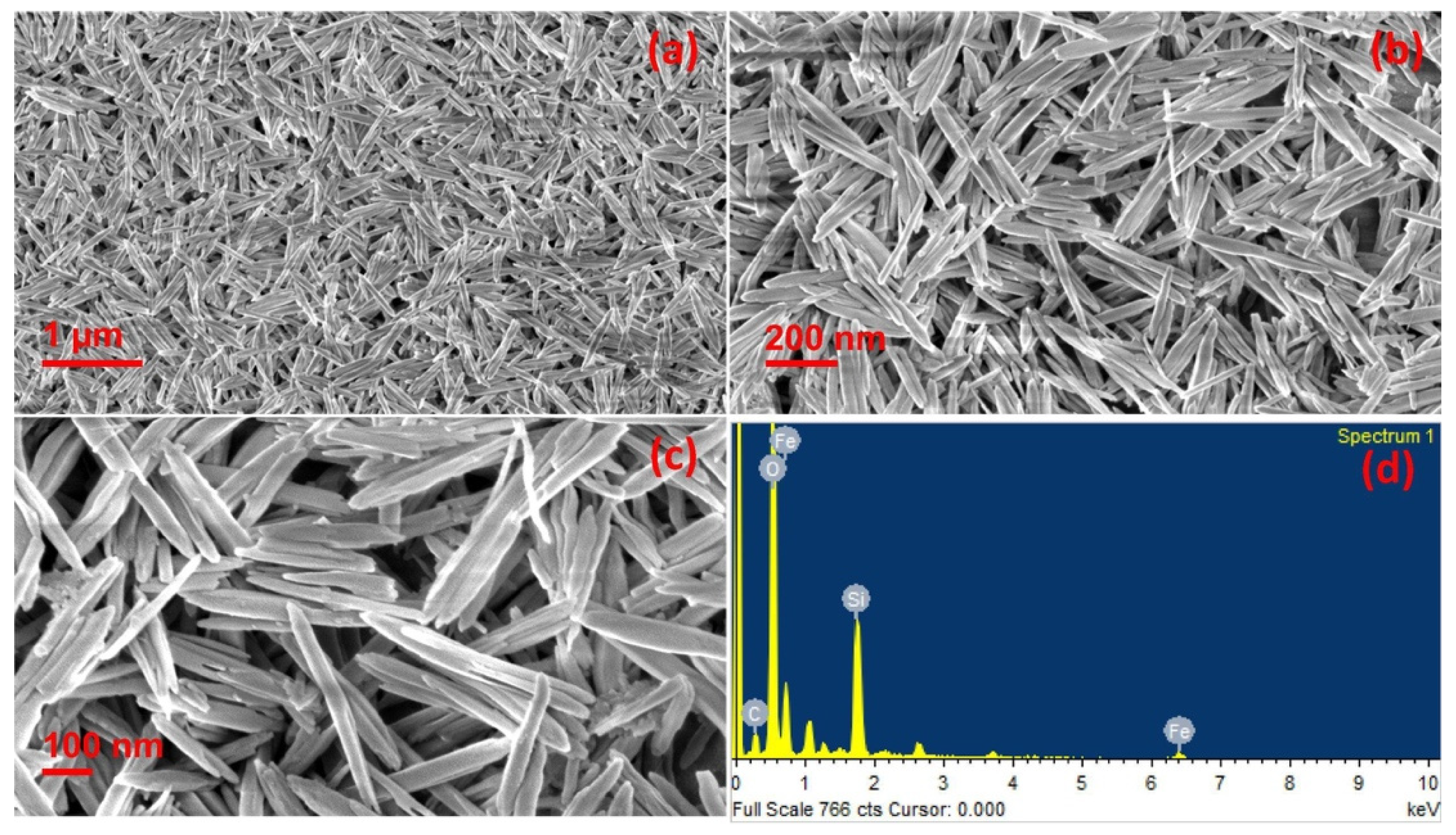 Photochem 01 00009 g004
