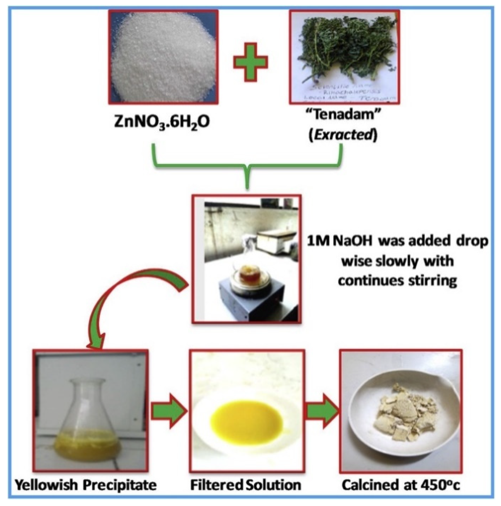 Photochem 01 00009 g005