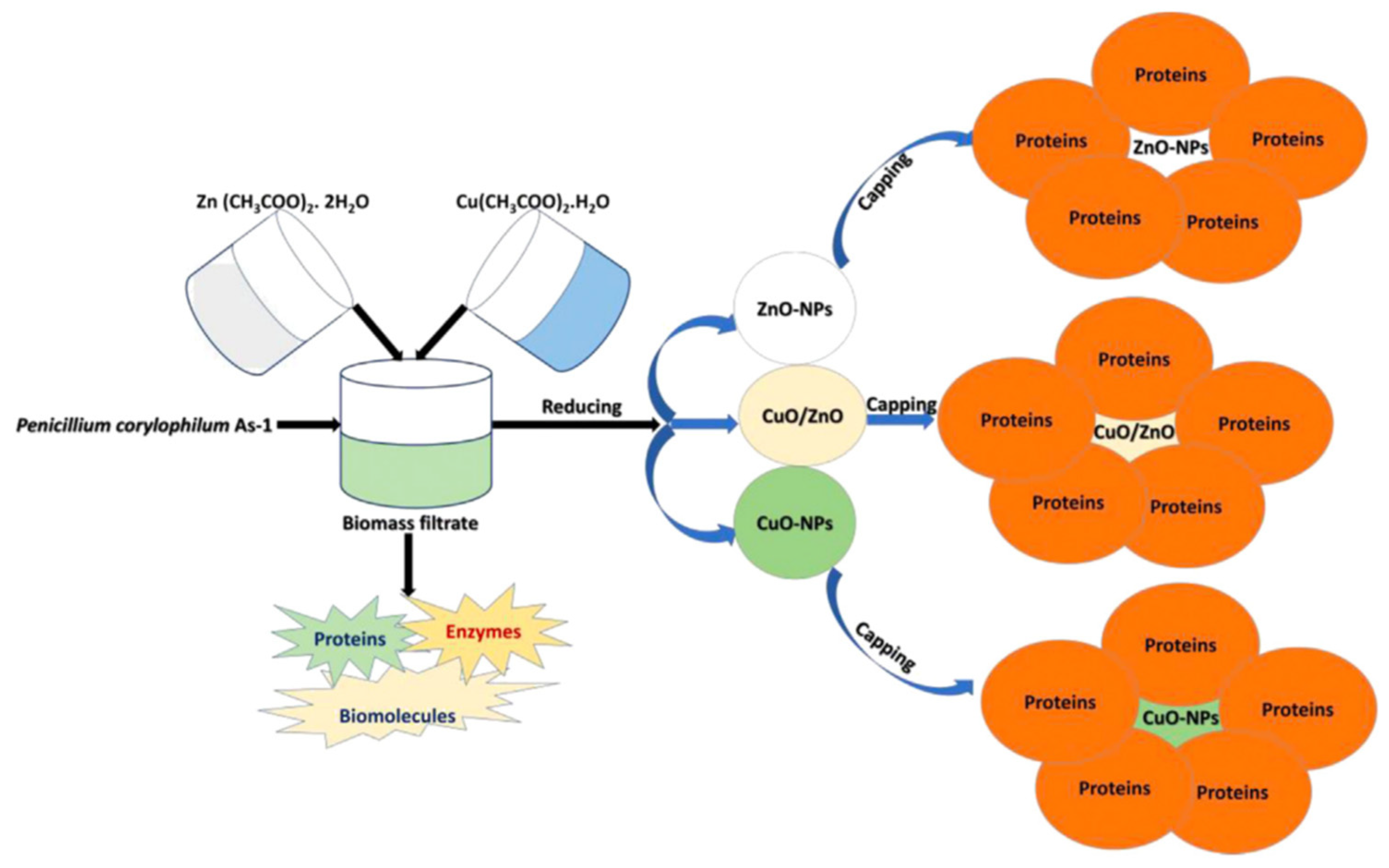 Photochem 01 00009 g006