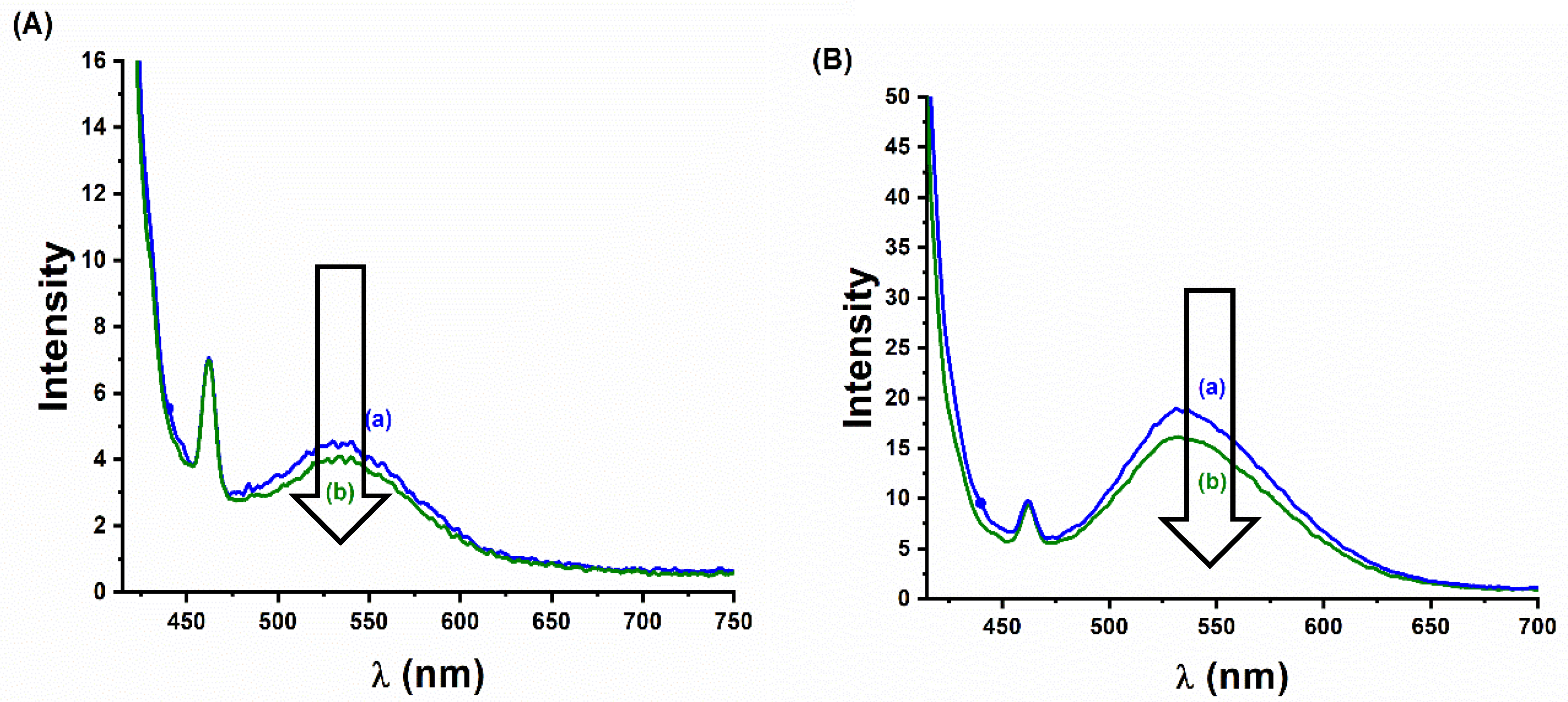 Photochem 01 00010 g013