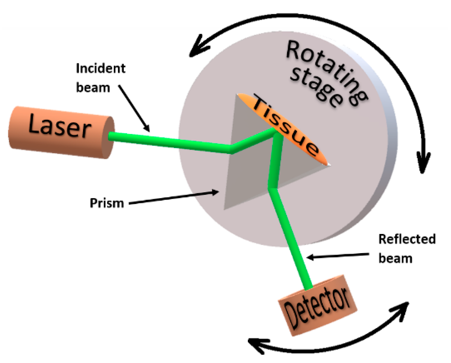 Photochem 01 00011 g001