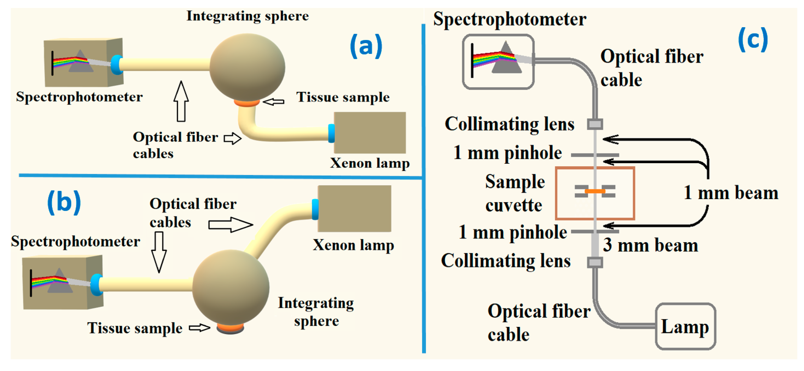 Photochem 01 00011 g003