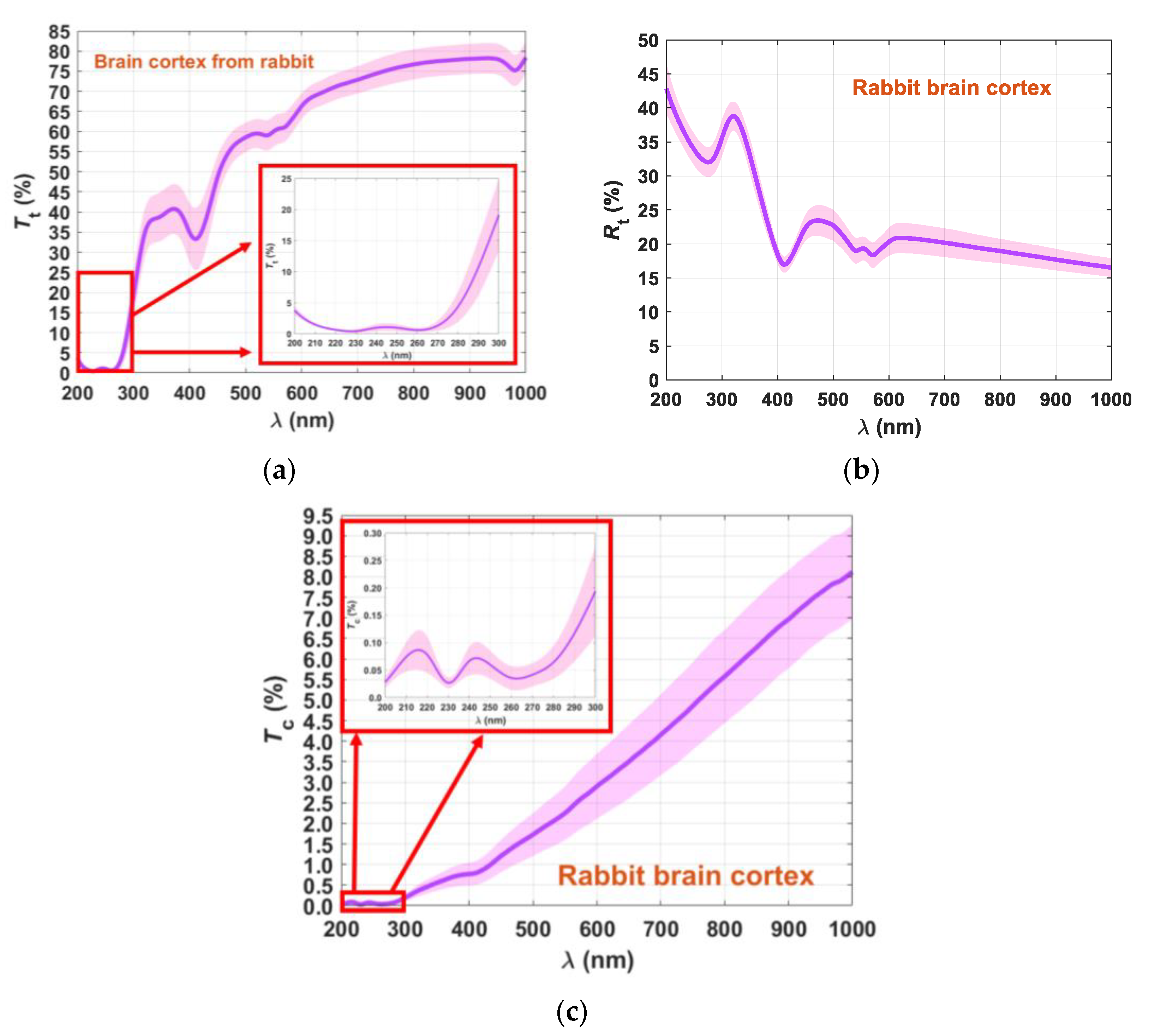 Photochem 01 00011 g006