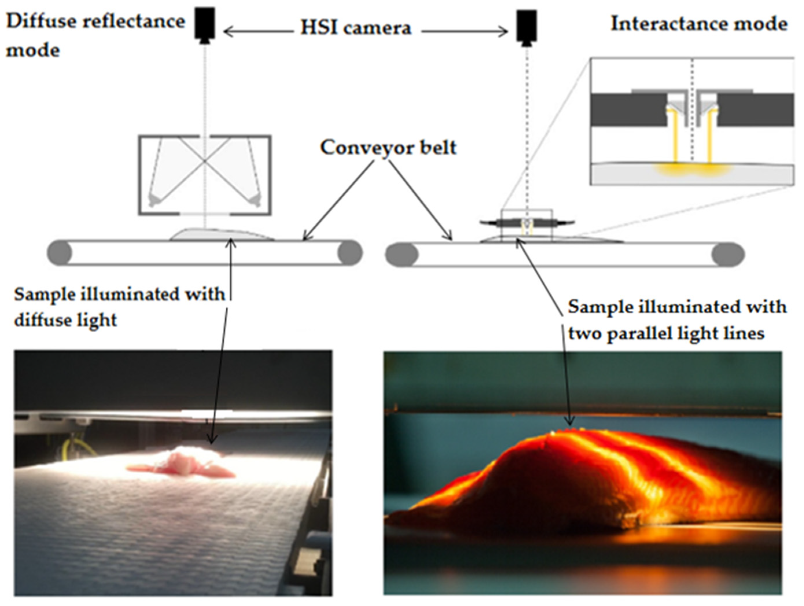 Photochem 01 00015 g004
