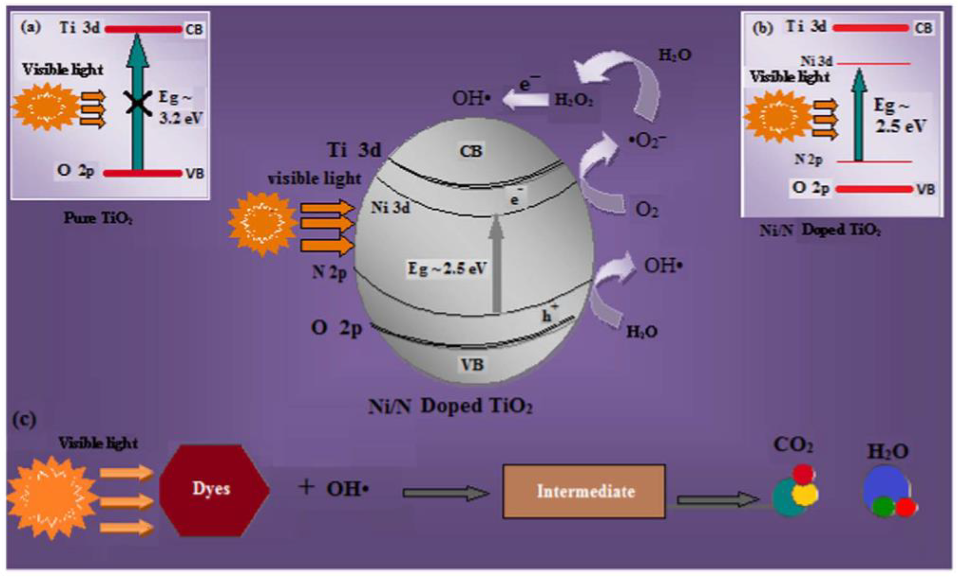 Photochem 01 00024 g010 Photochem 01 00024 g010