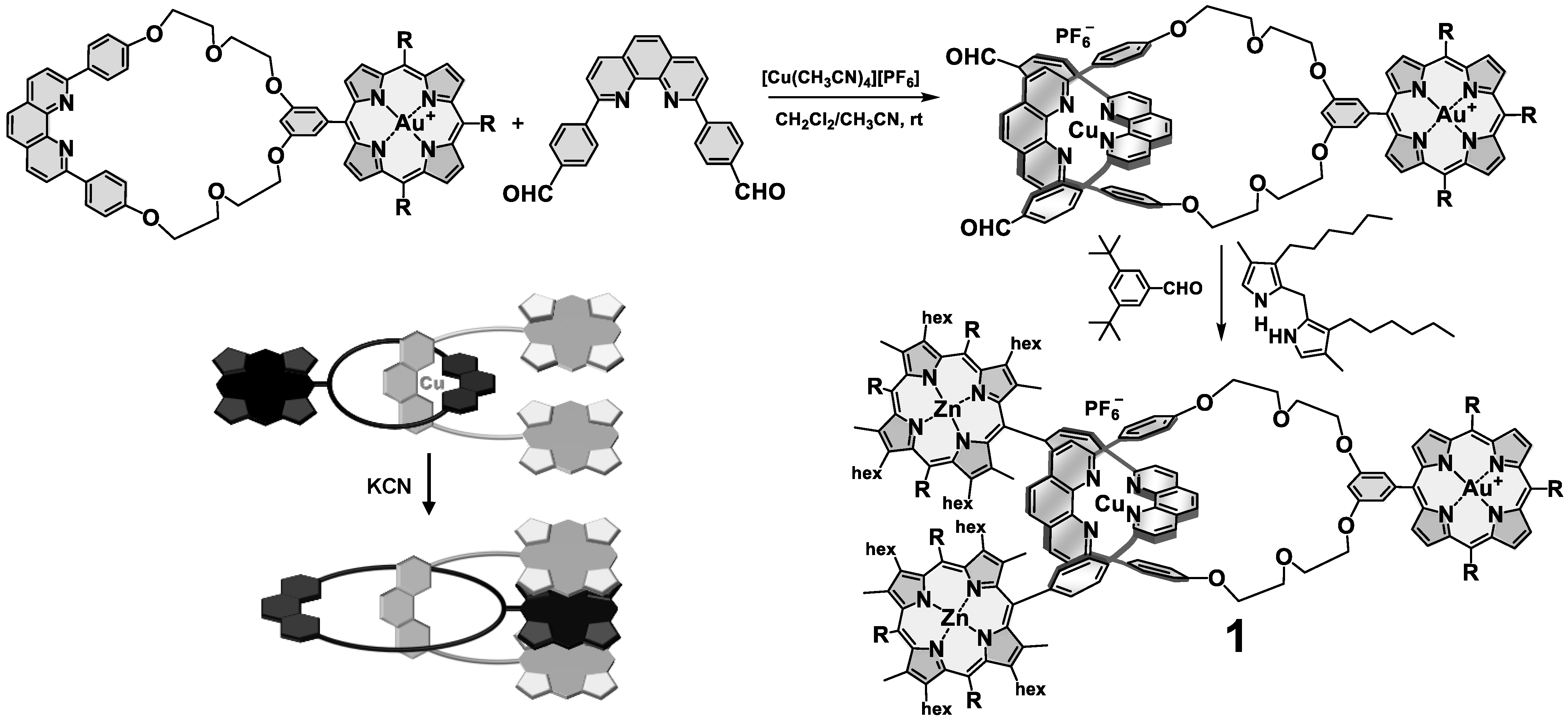 Photochem 01 00025 g002 Photochem 01 00025 g002