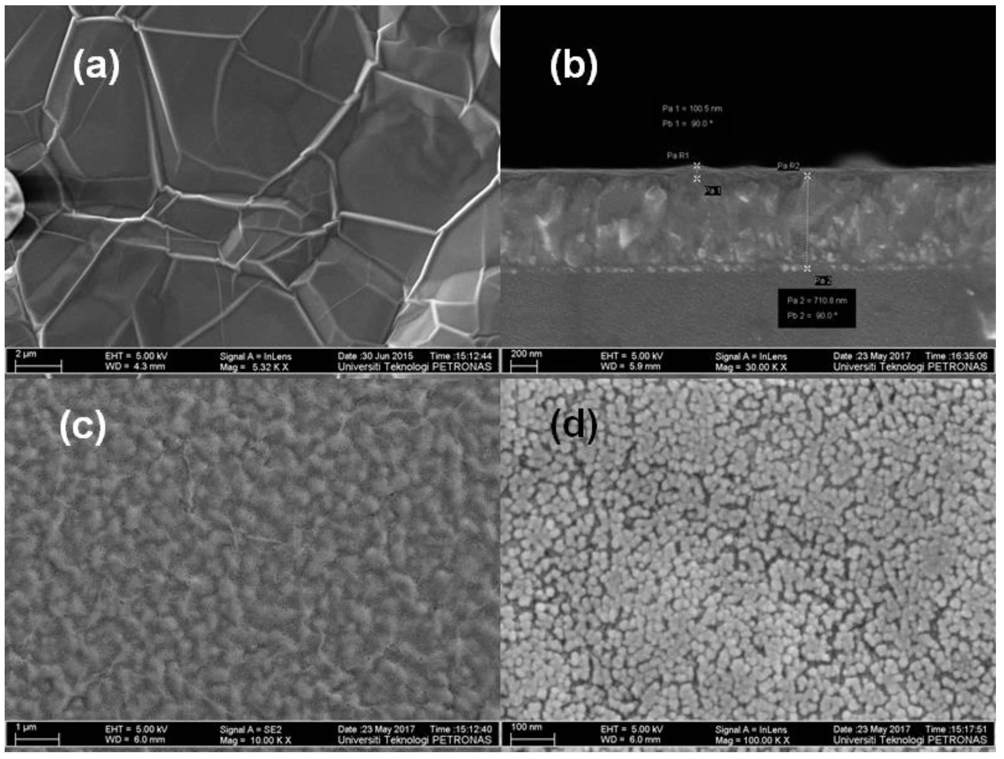 Photochem 01 00034 g002