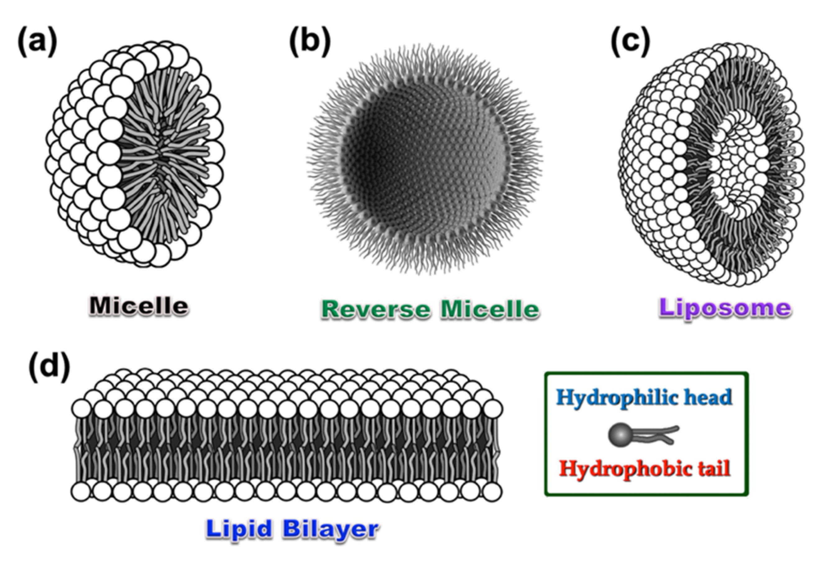 Photochem 02 00004 g001