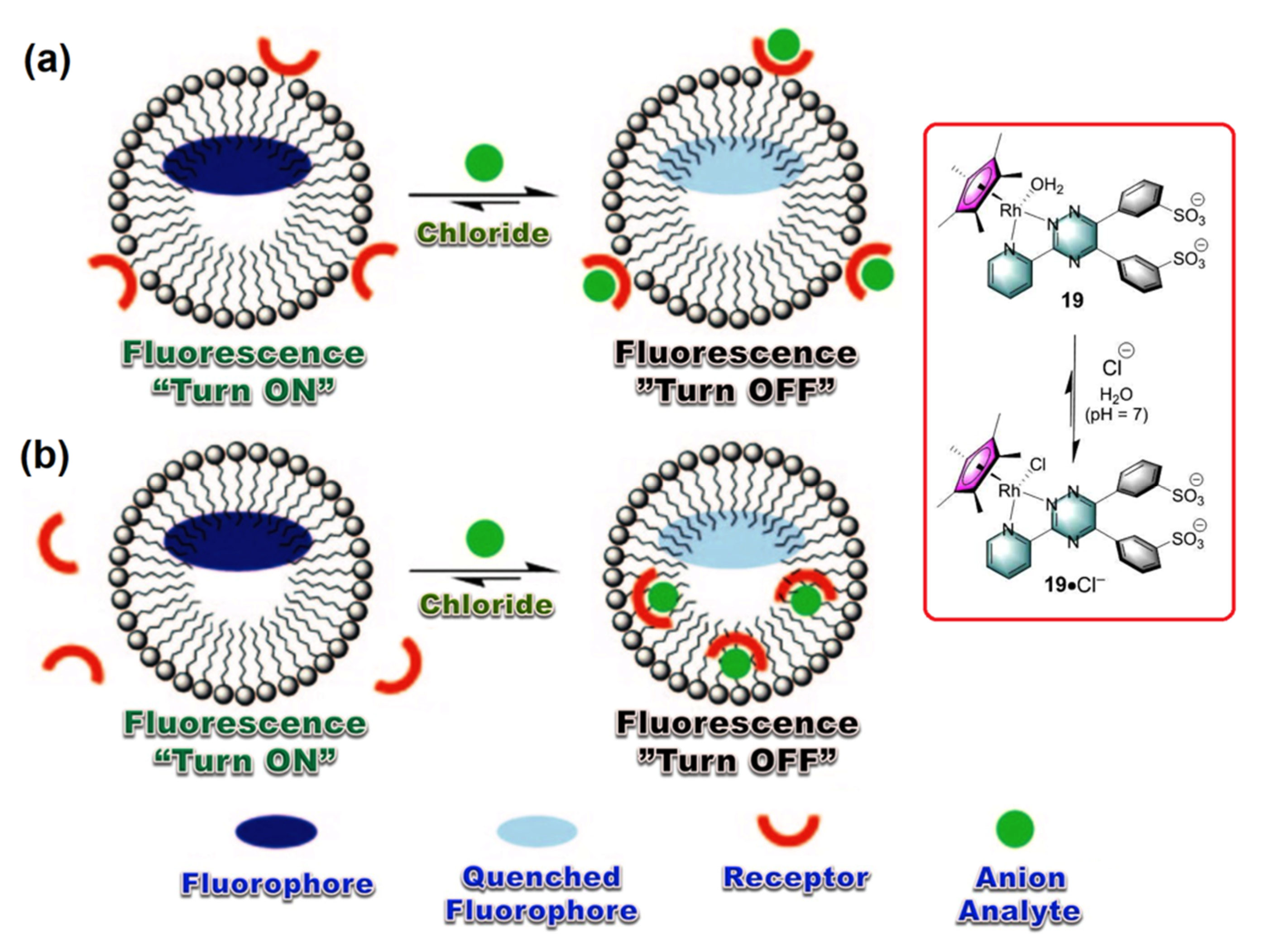 Photochem 02 00004 g004