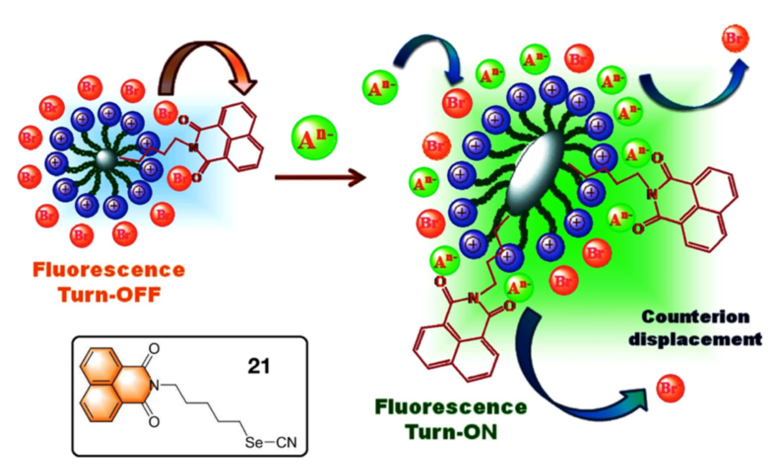 Photochem 02 00004 g005