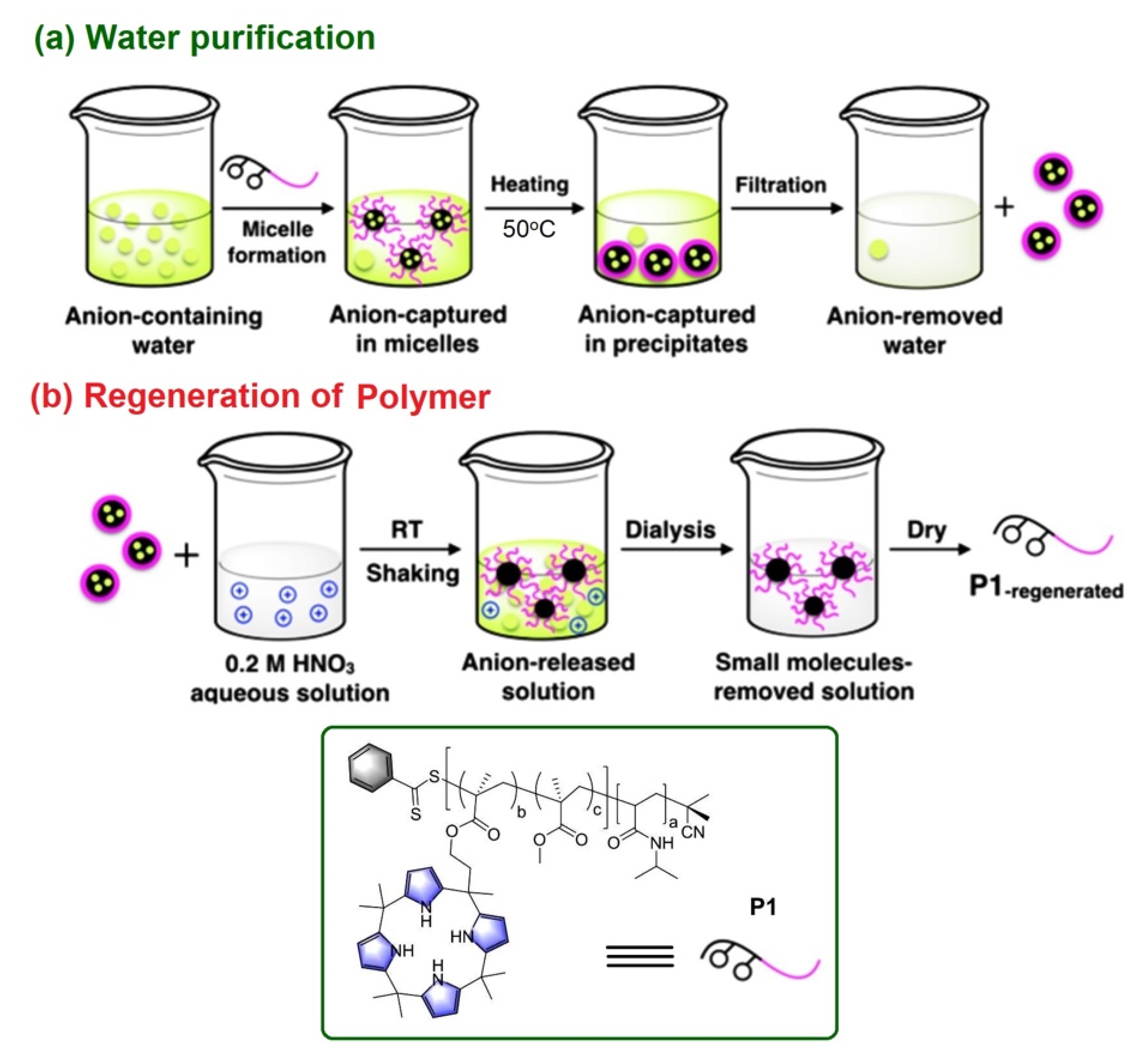 Photochem 02 00004 g006