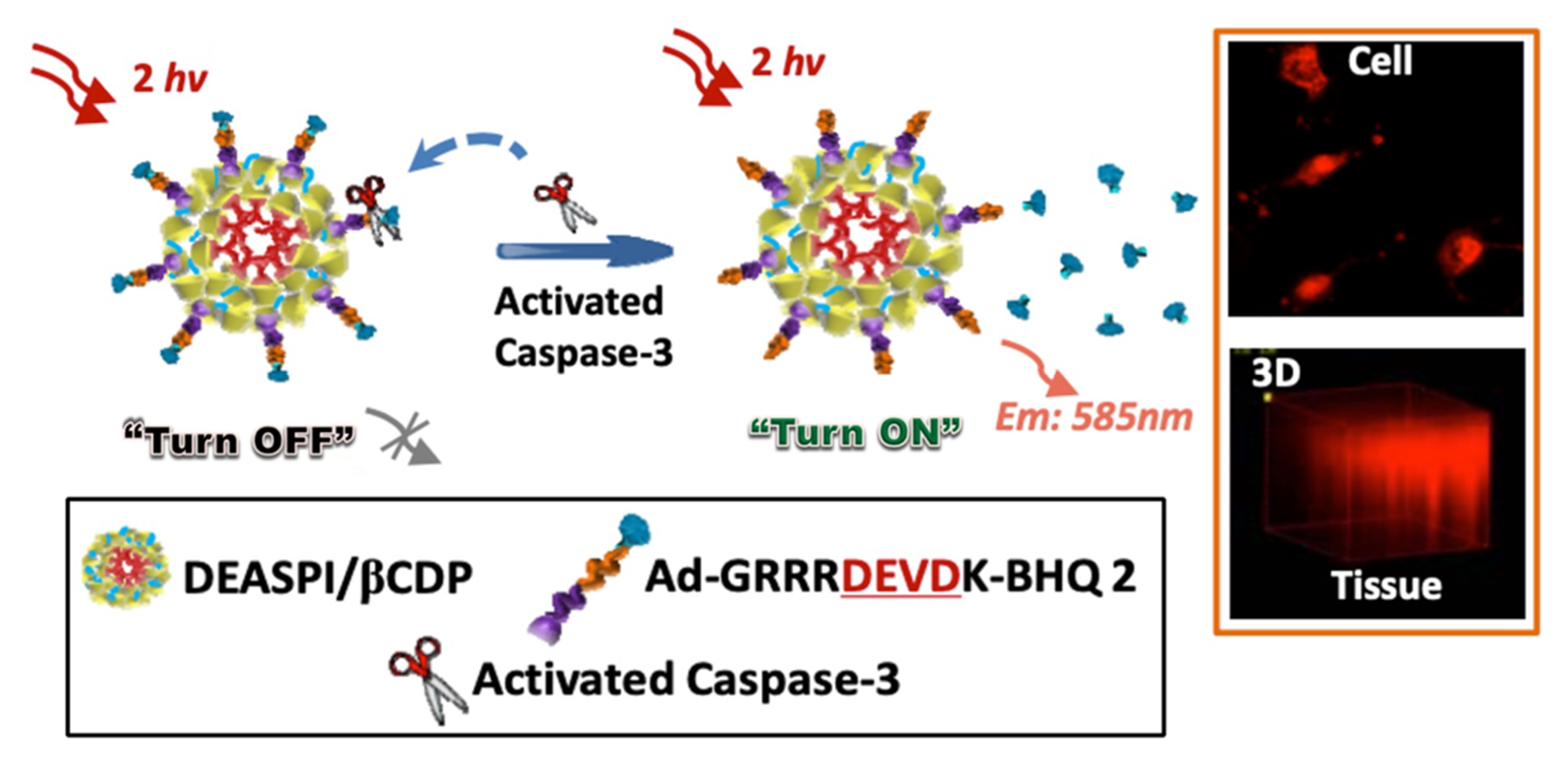 Photochem 02 00004 g007
