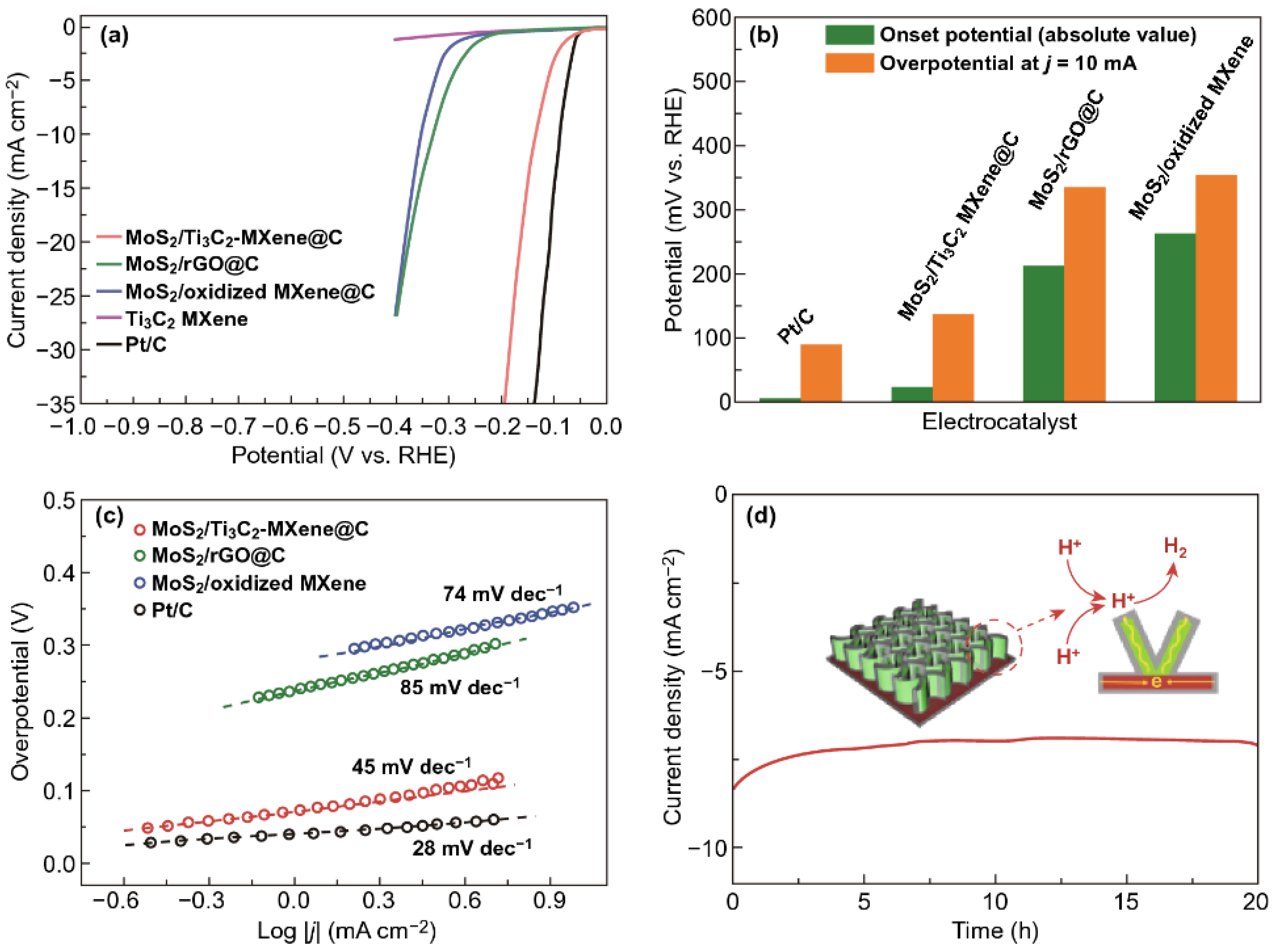 Photochem 02 00020 g001