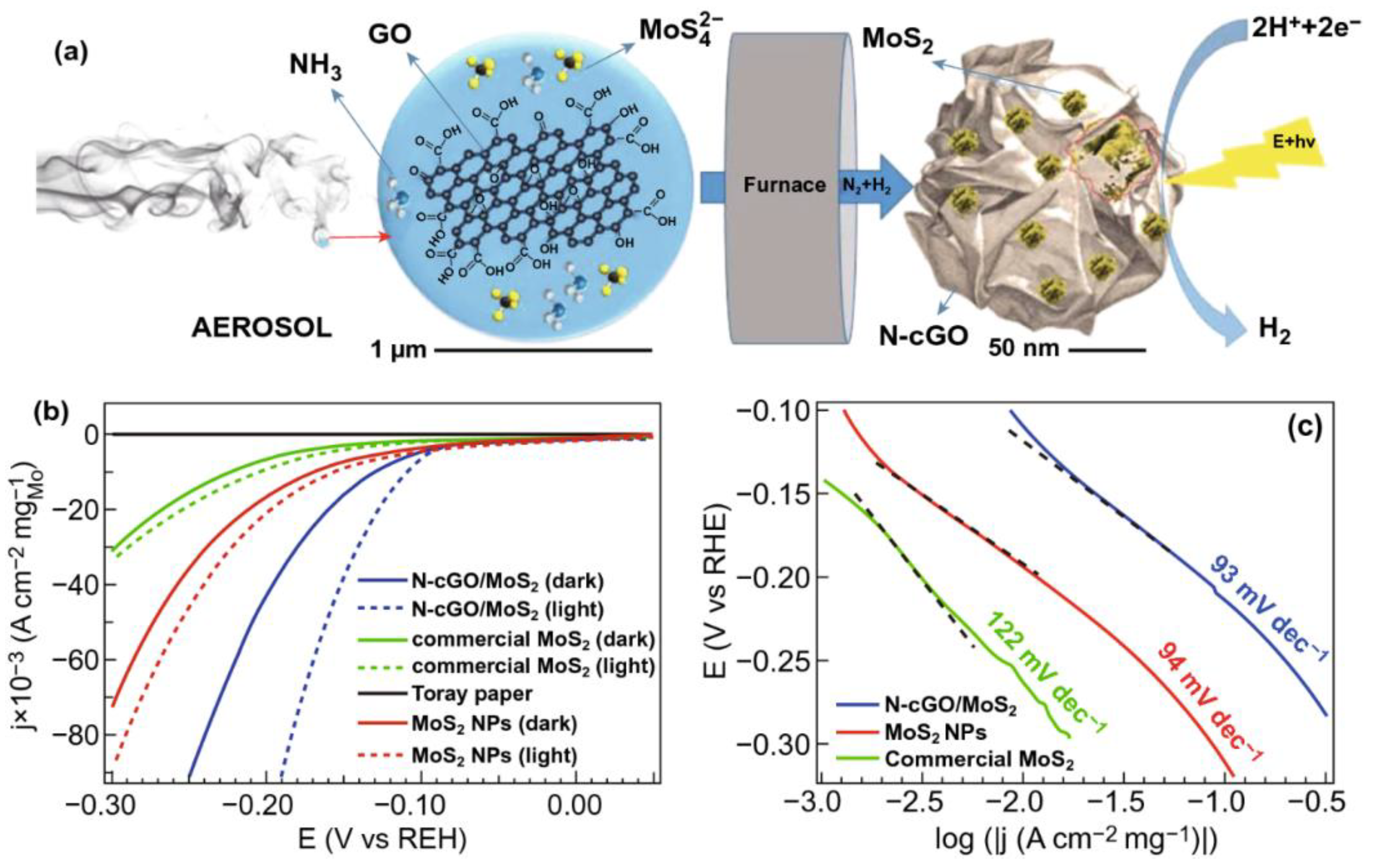 Photochem 02 00020 g002