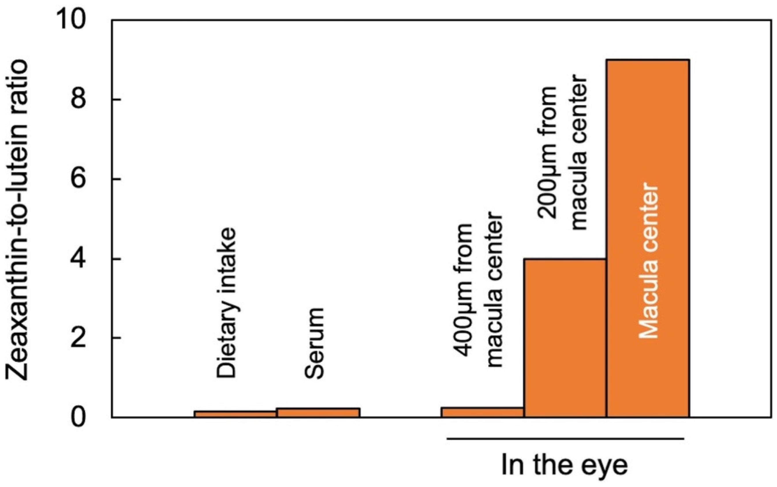 Photochem 02 00022 g002