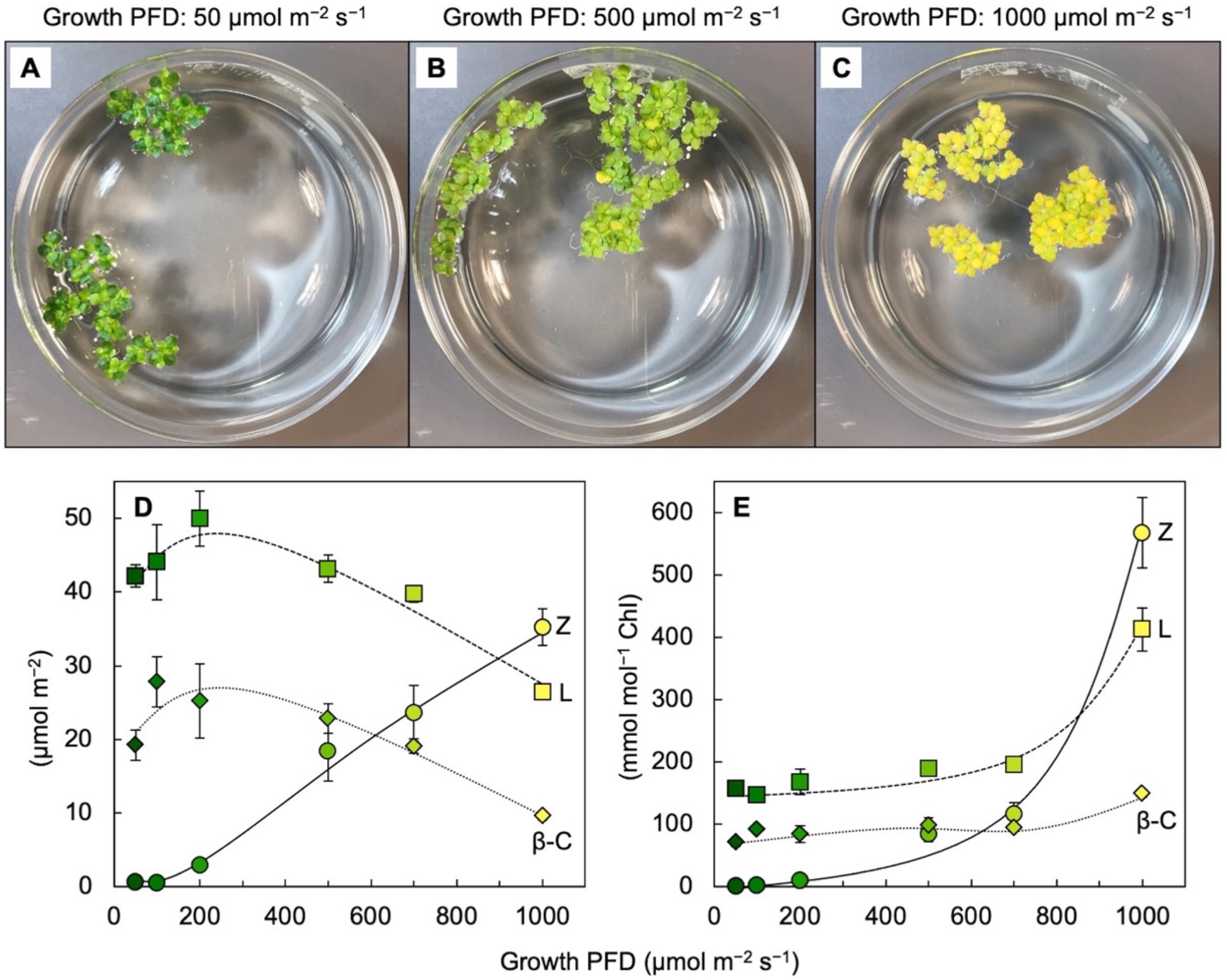 Photochem 02 00022 g003