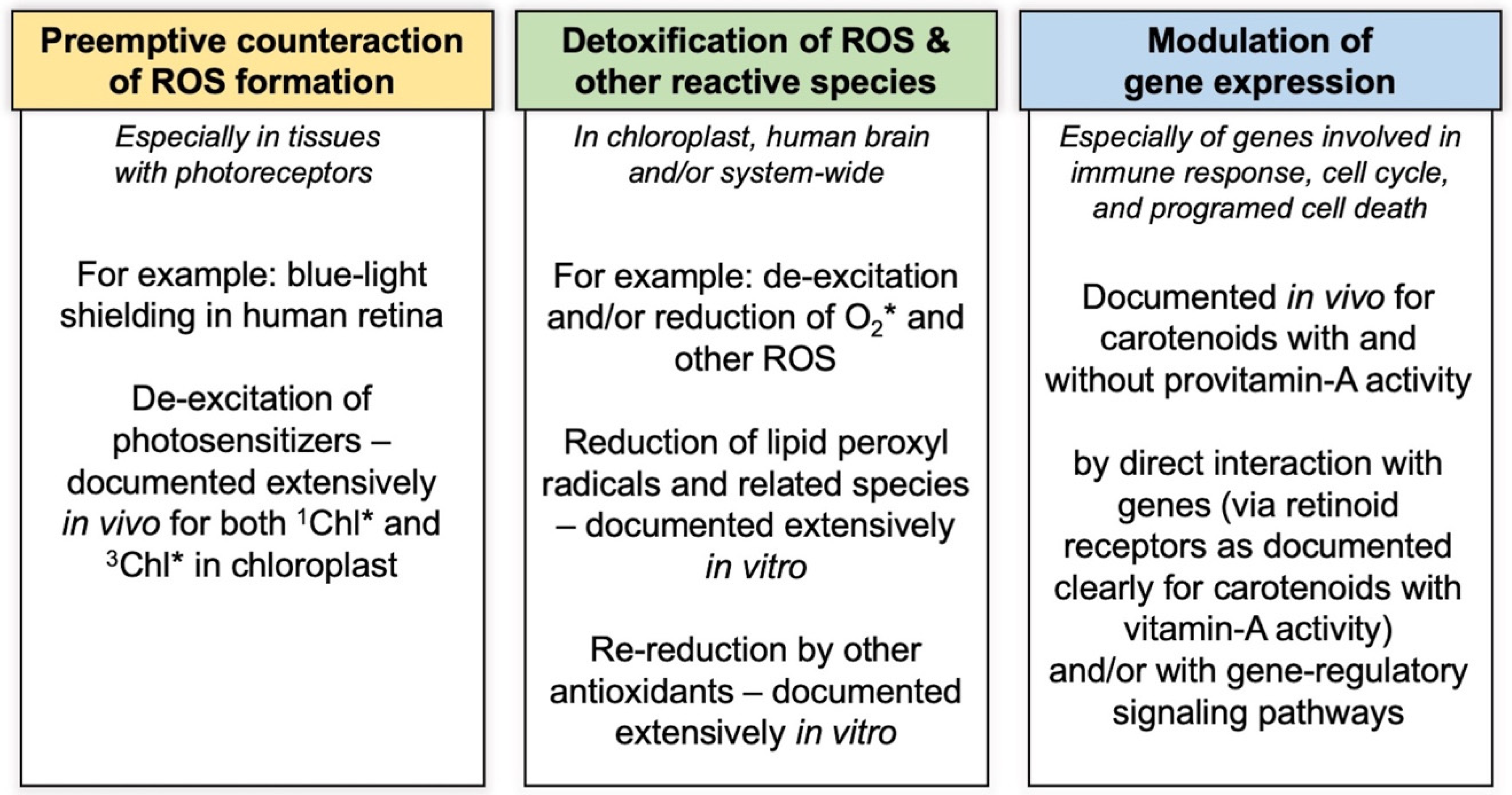 Photochem 02 00022 g005