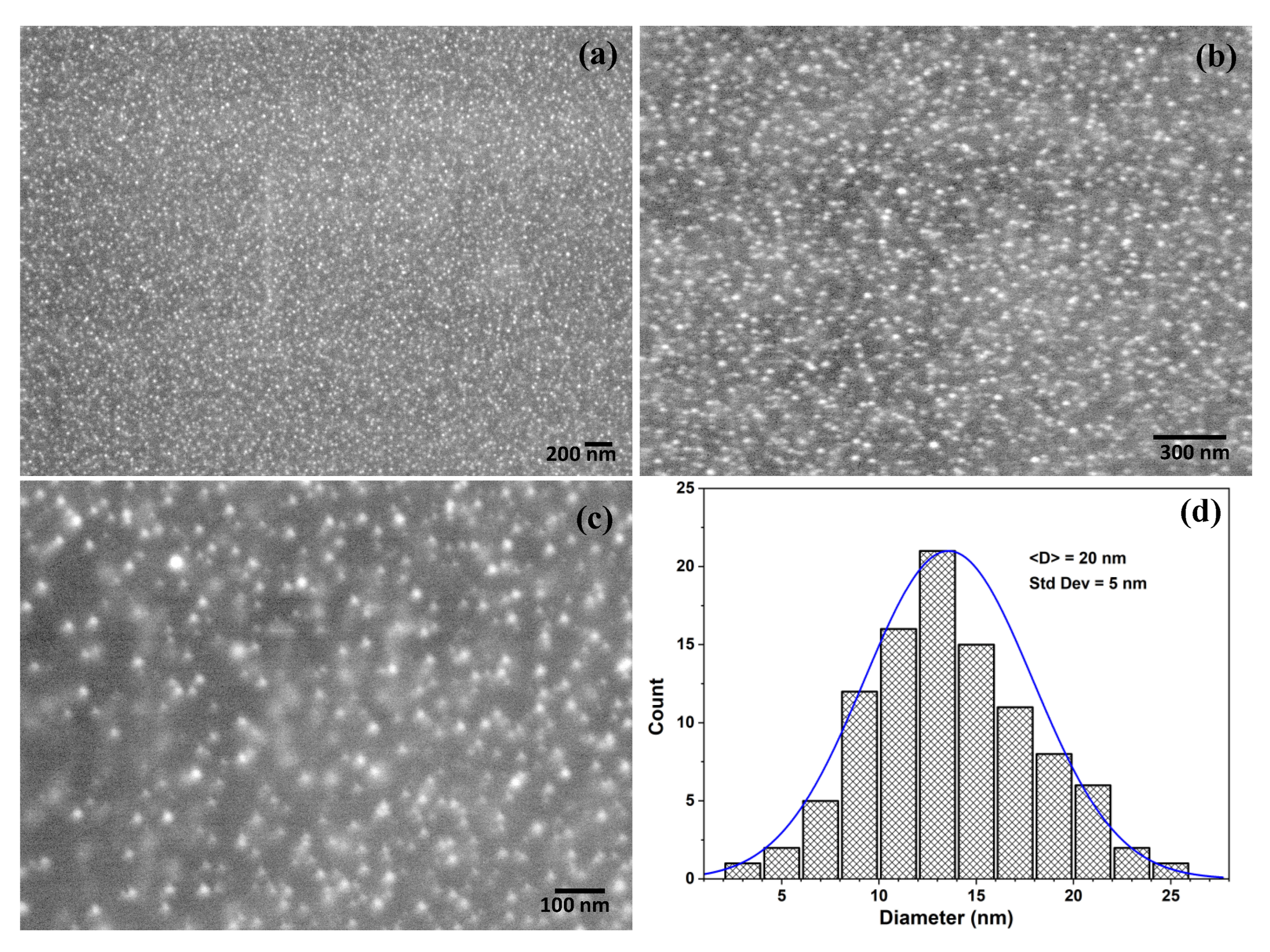 Photochem 02 00033 g005
