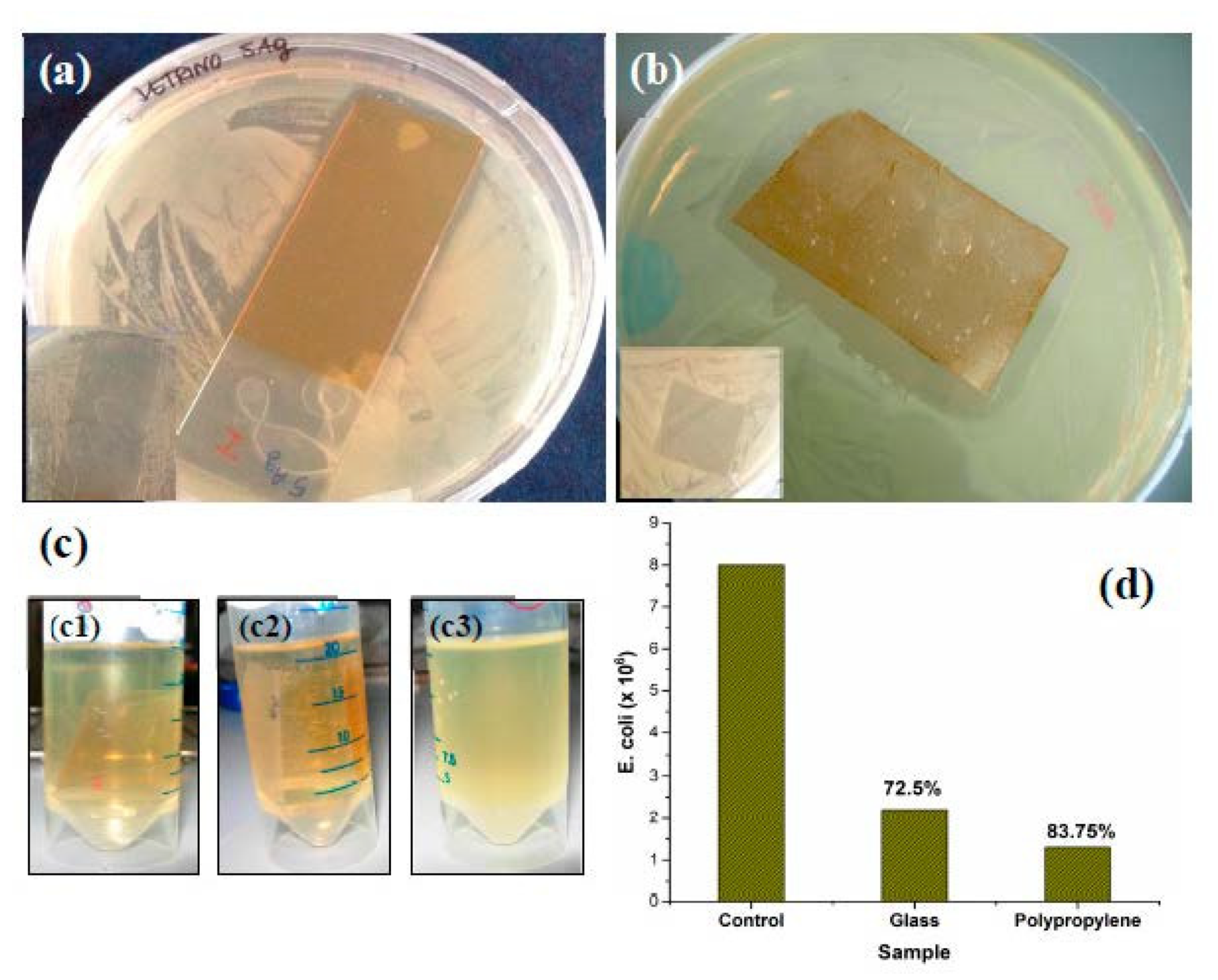 Photochem 02 00033 g006