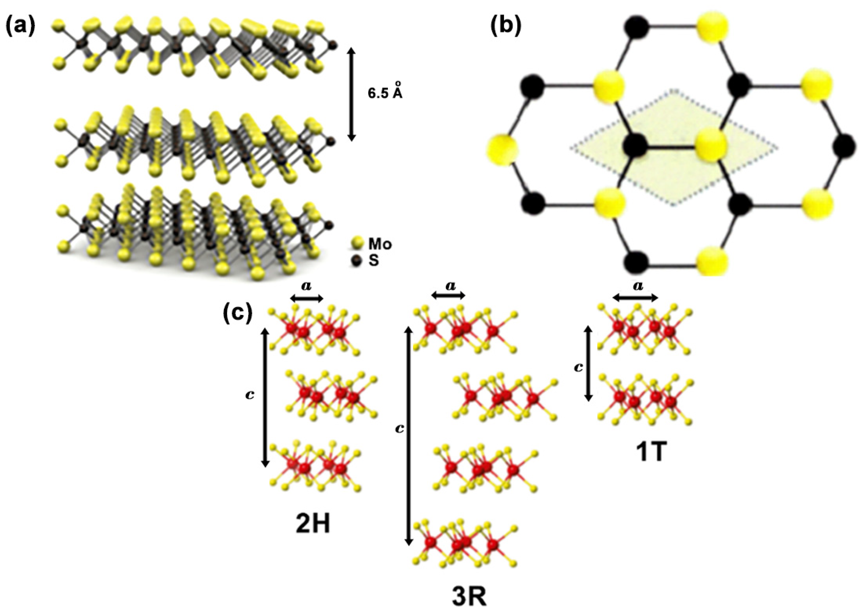 Photochem 02 00042 g002