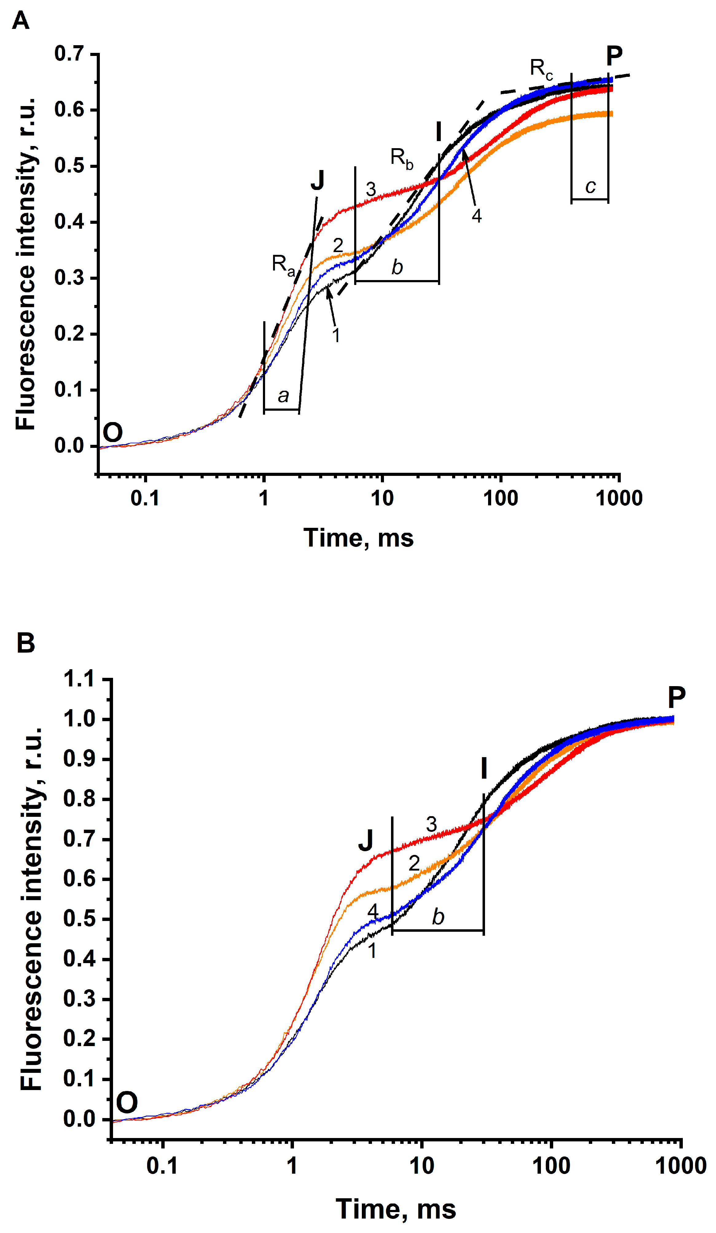 Photochem 02 00050 g001