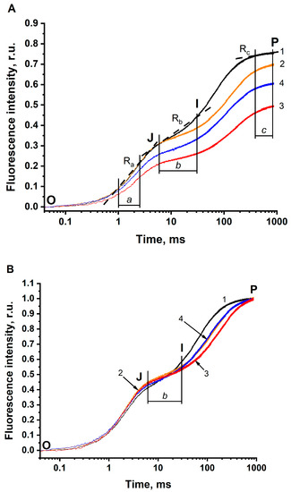 Photochem 02 00050 g002 550