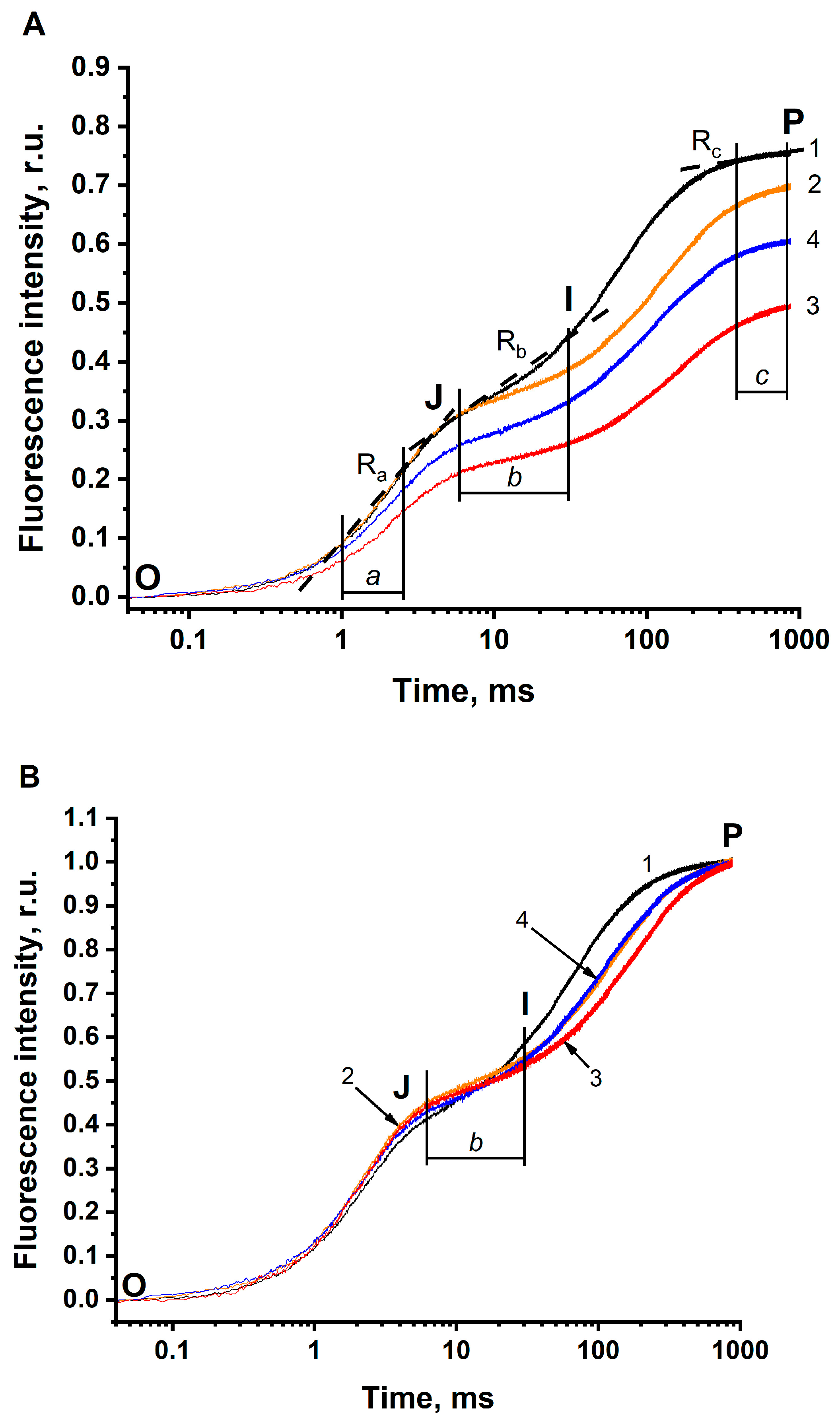 Photochem 02 00050 g002