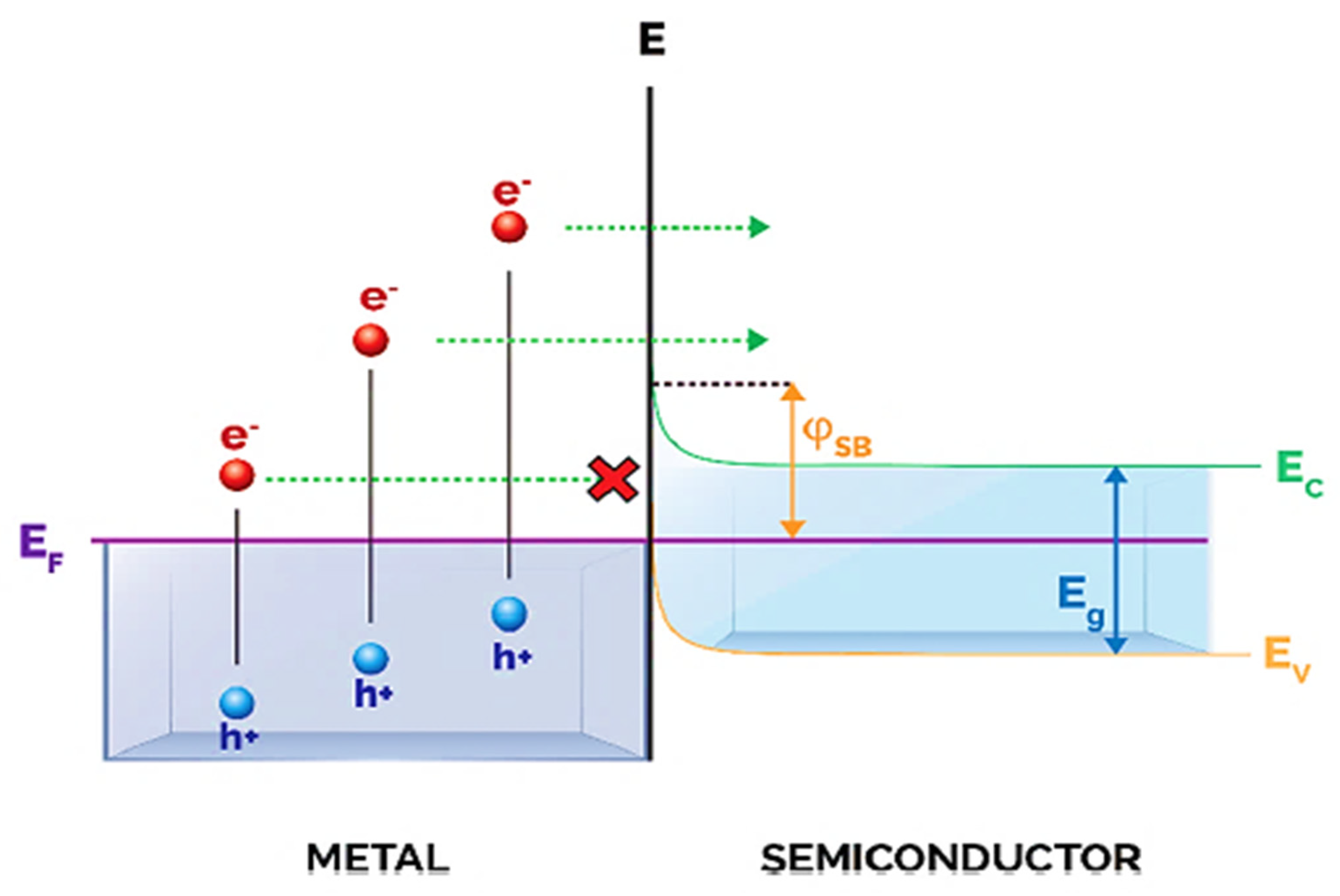 Photochem 02 00052 g004