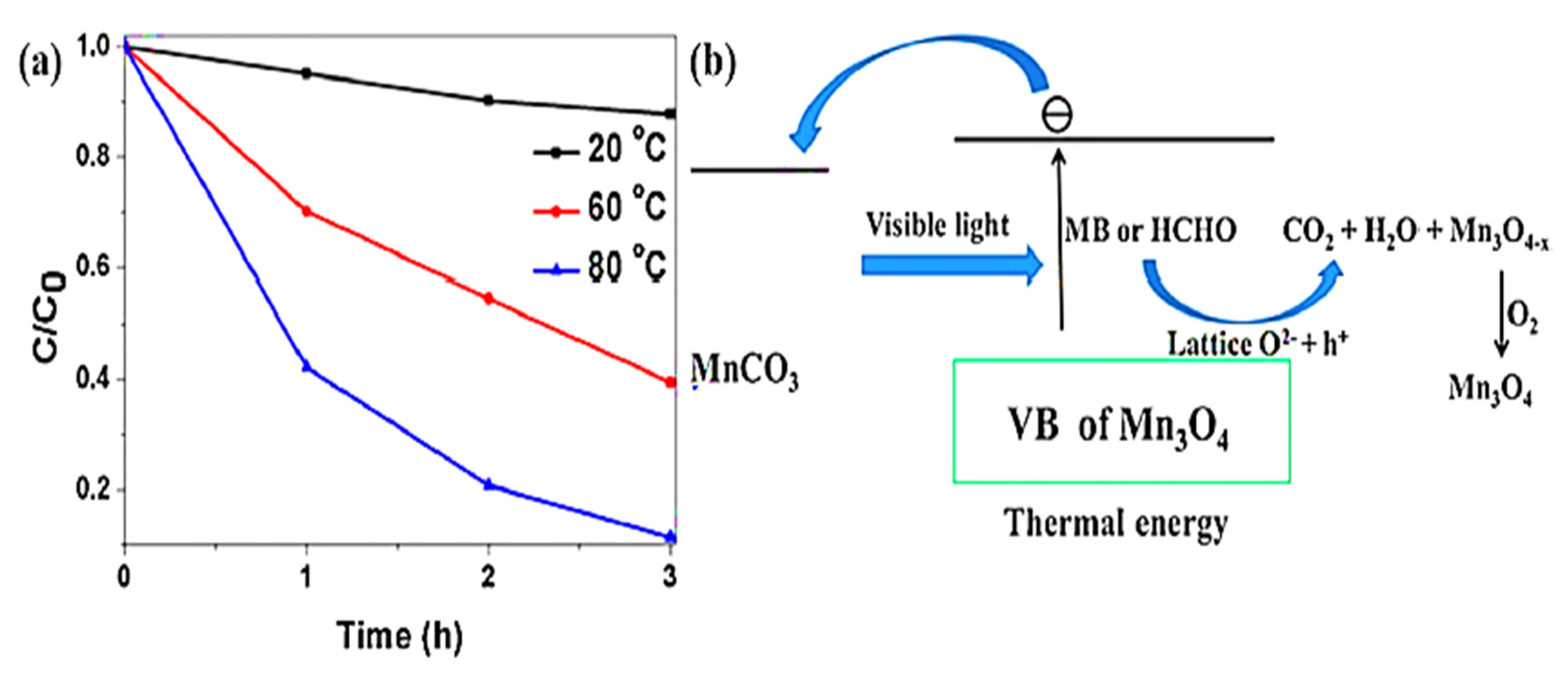 Photochem 02 00052 g008