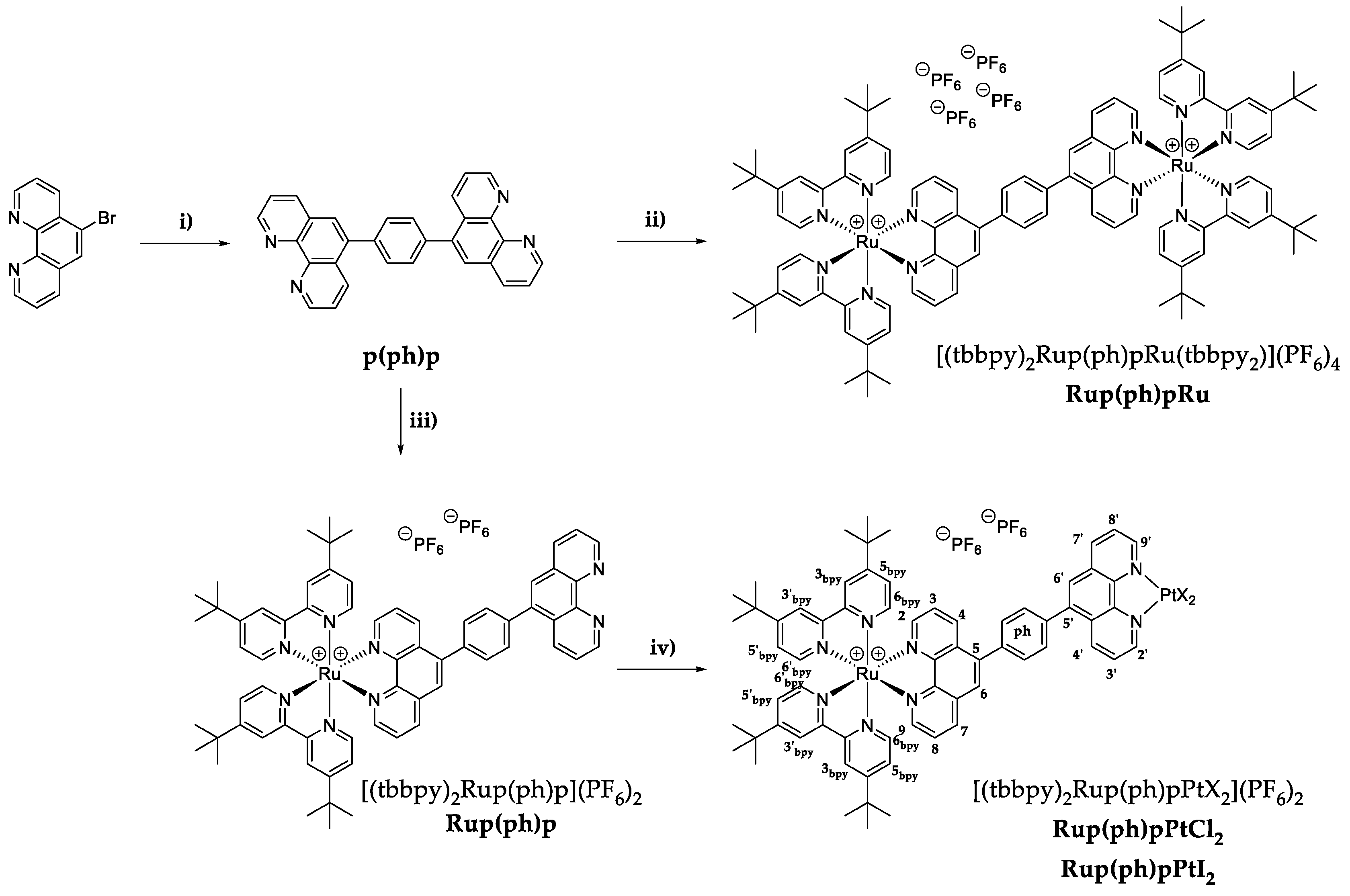 Photochem 02 00053 sch001