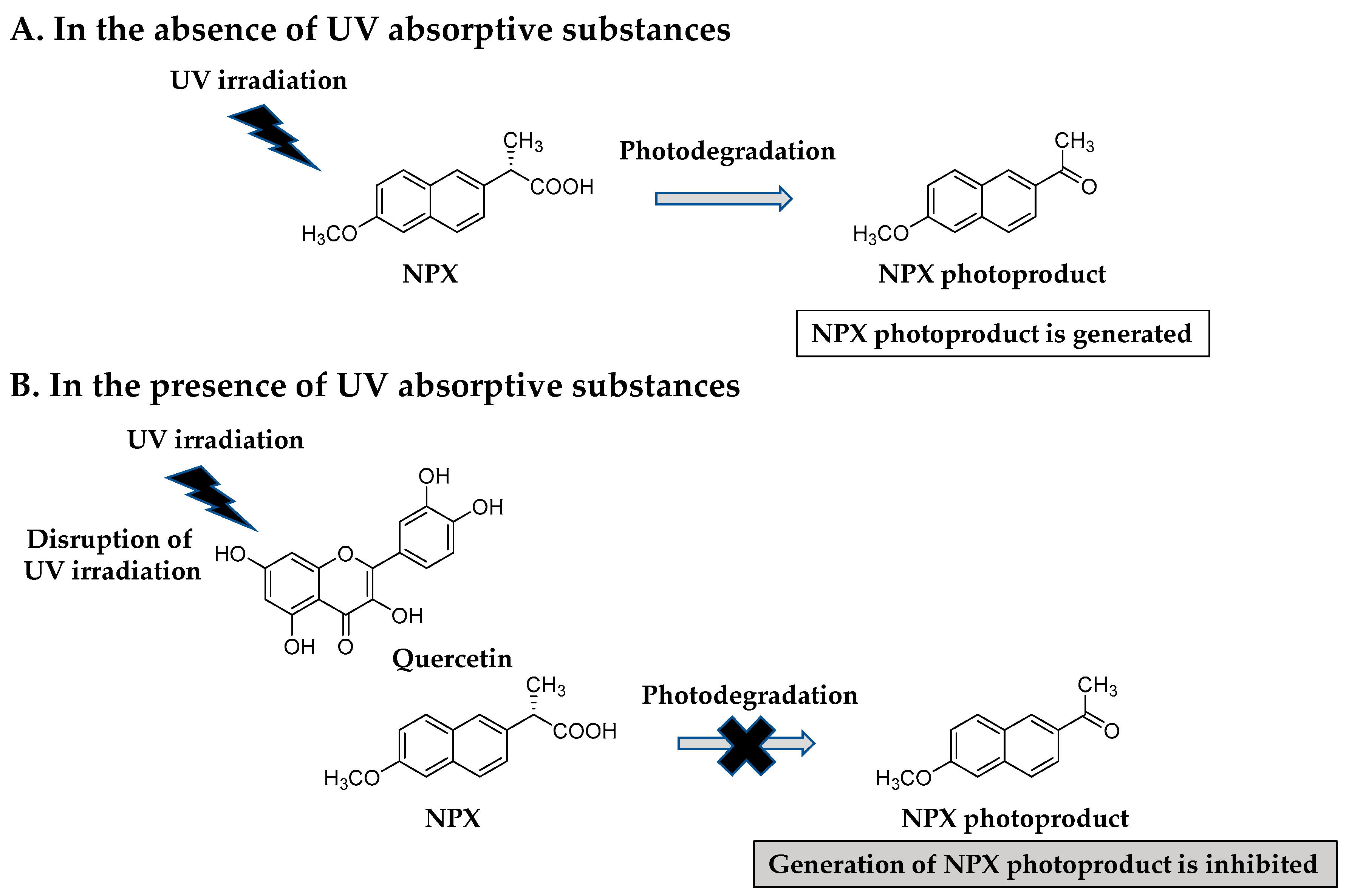 Photochem 02 00056 g007
