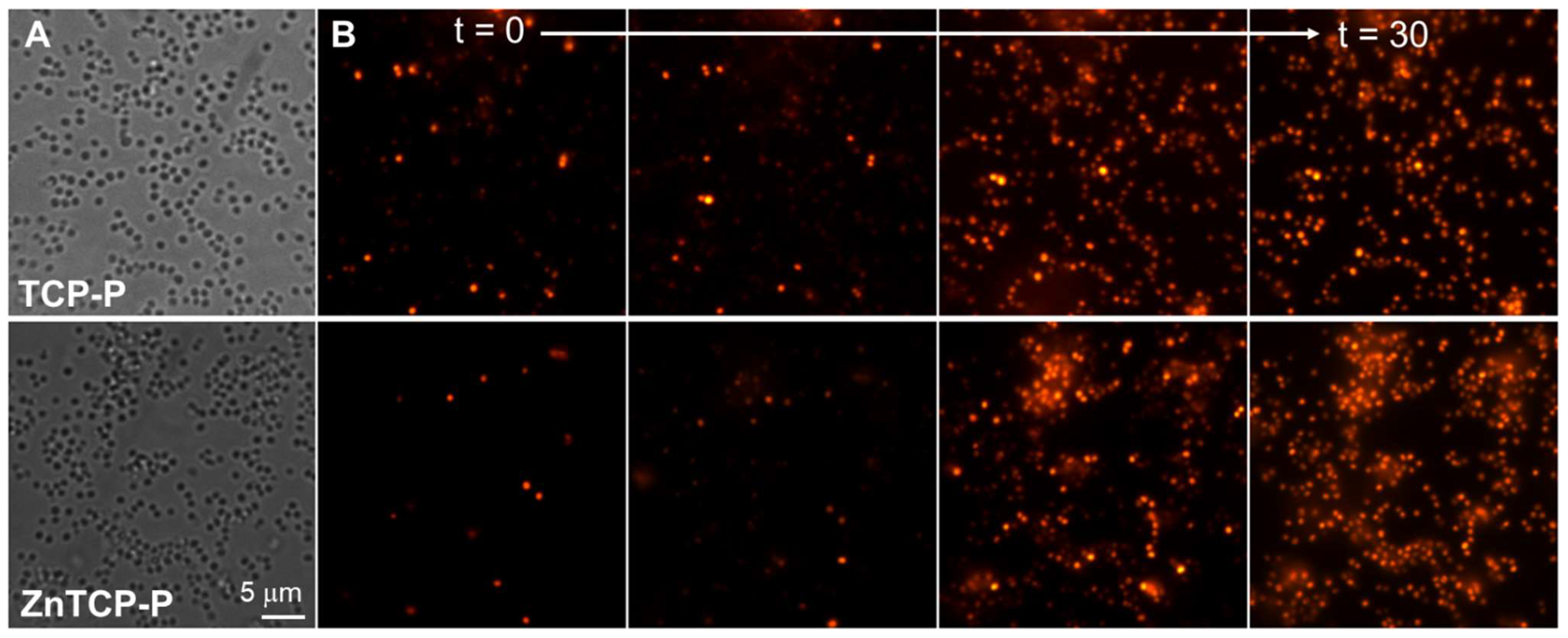 Photochem 02 00057 g006