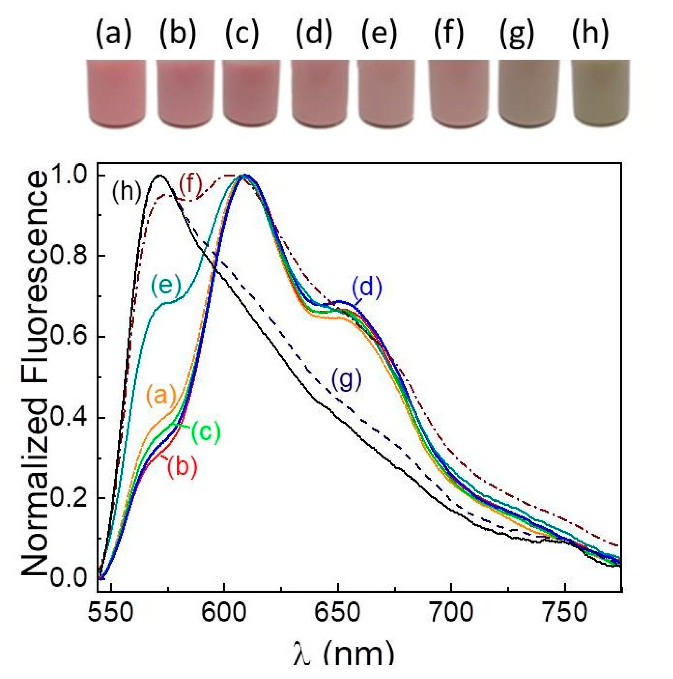 Photochem 03 00001 g008