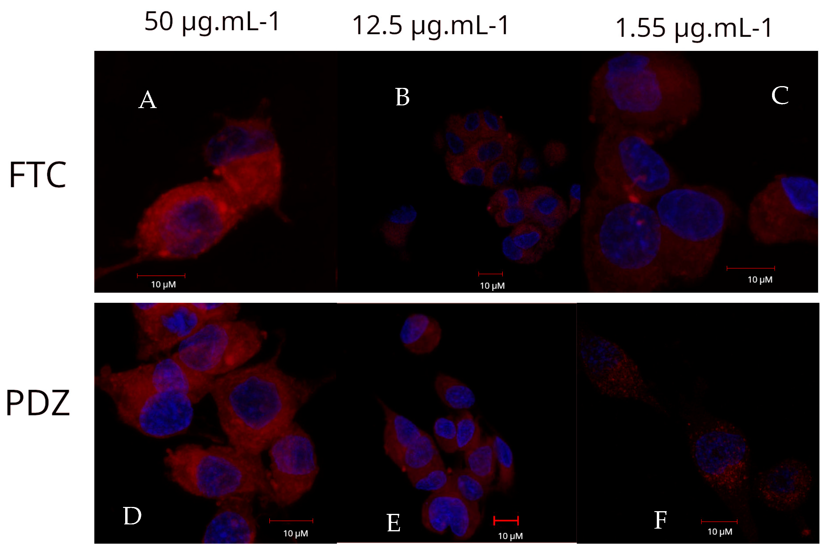 Photochem 03 00006 g002