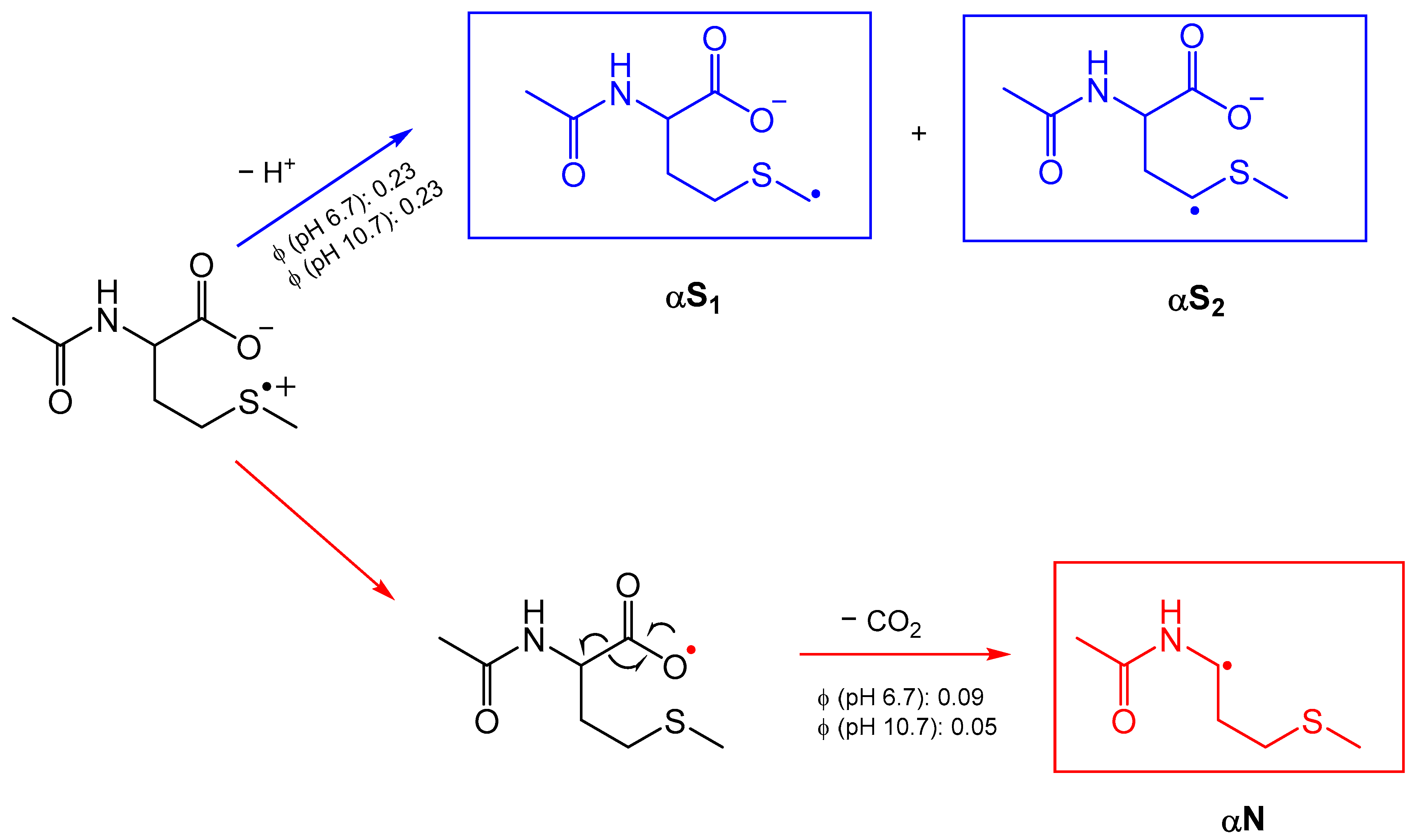 Photochem 03 00007 sch001