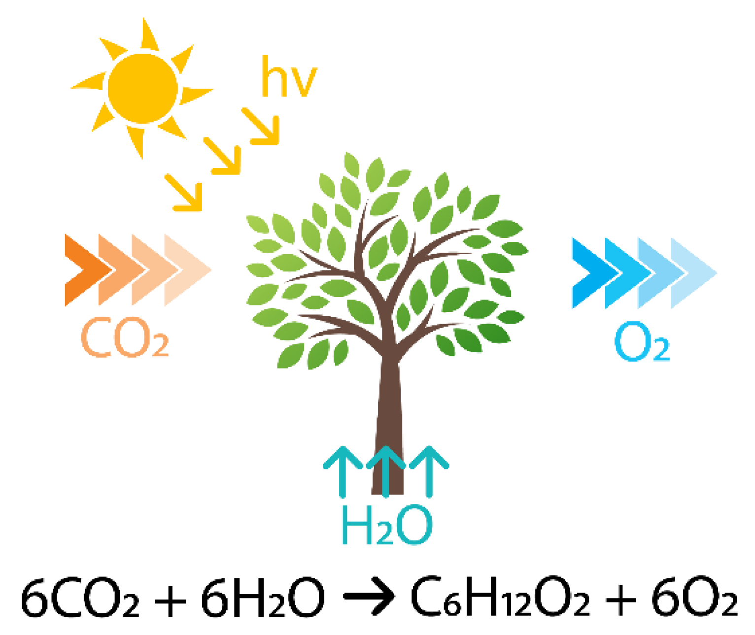 Photochem 03 00015 g002 Photochem 03 00015 g002