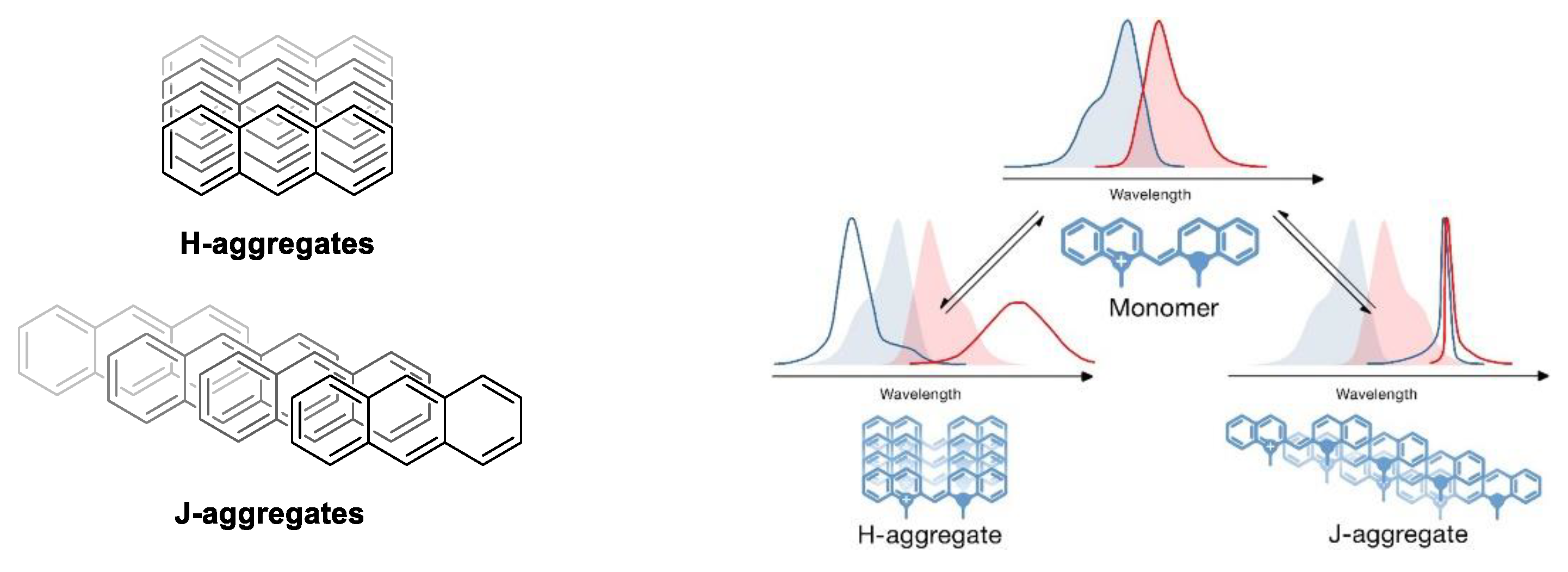 Photochem 03 00015 g031 Photochem 03 00015 g031