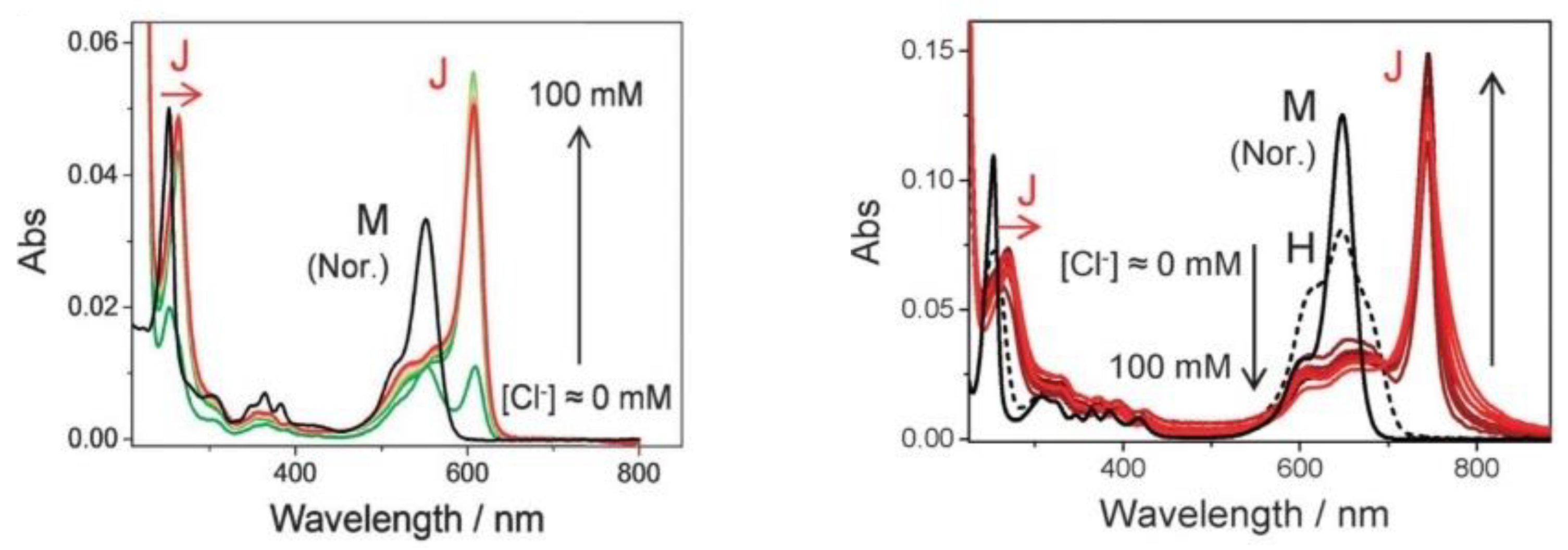Photochem 03 00015 g035 Photochem 03 00015 g035