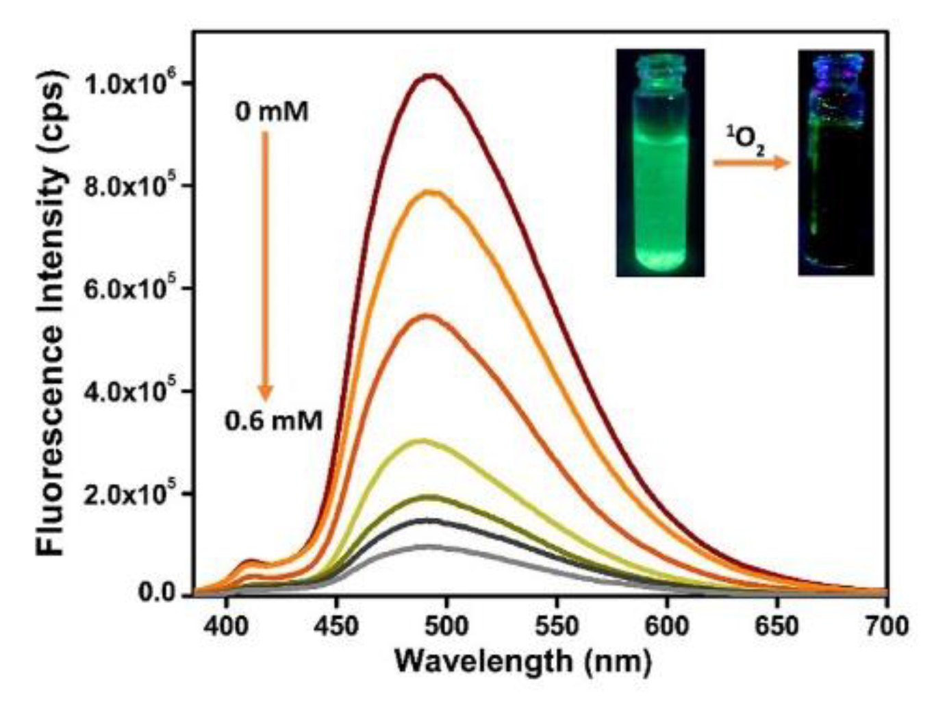 Photochem 03 00015 g070 Photochem 03 00015 g070